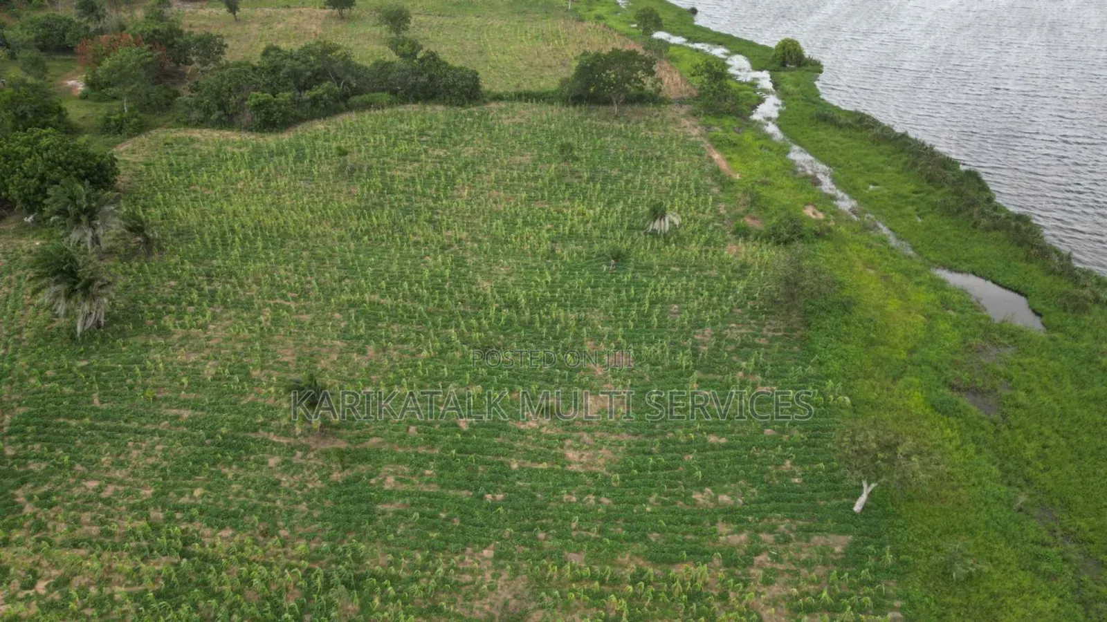 Farm Land at Laduba in Ilorin South