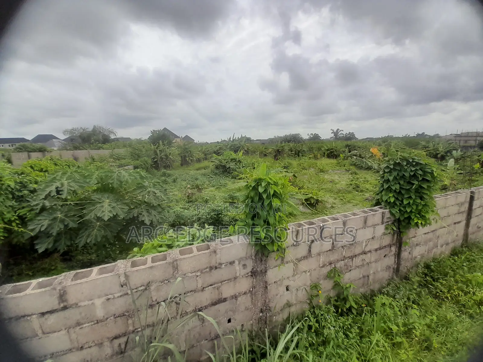 Dry Bareland in Bucknor