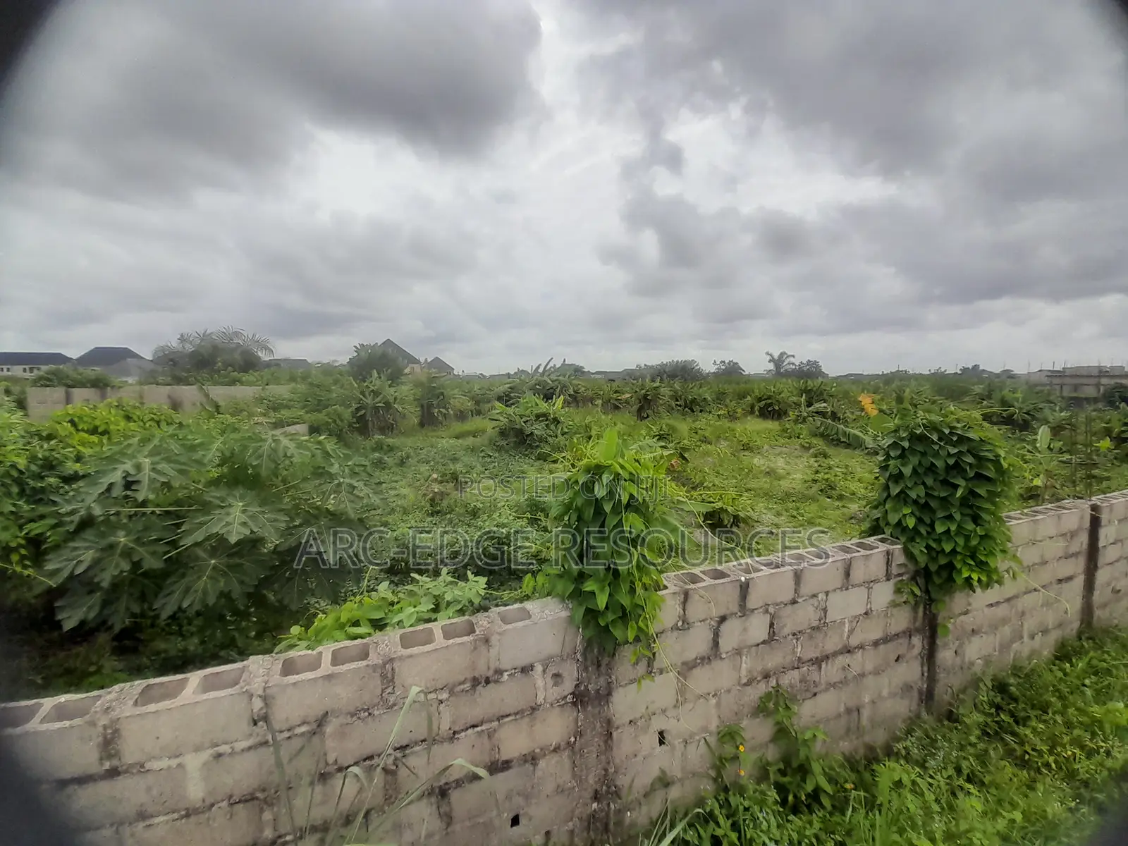 Dry Bareland in Bucknor