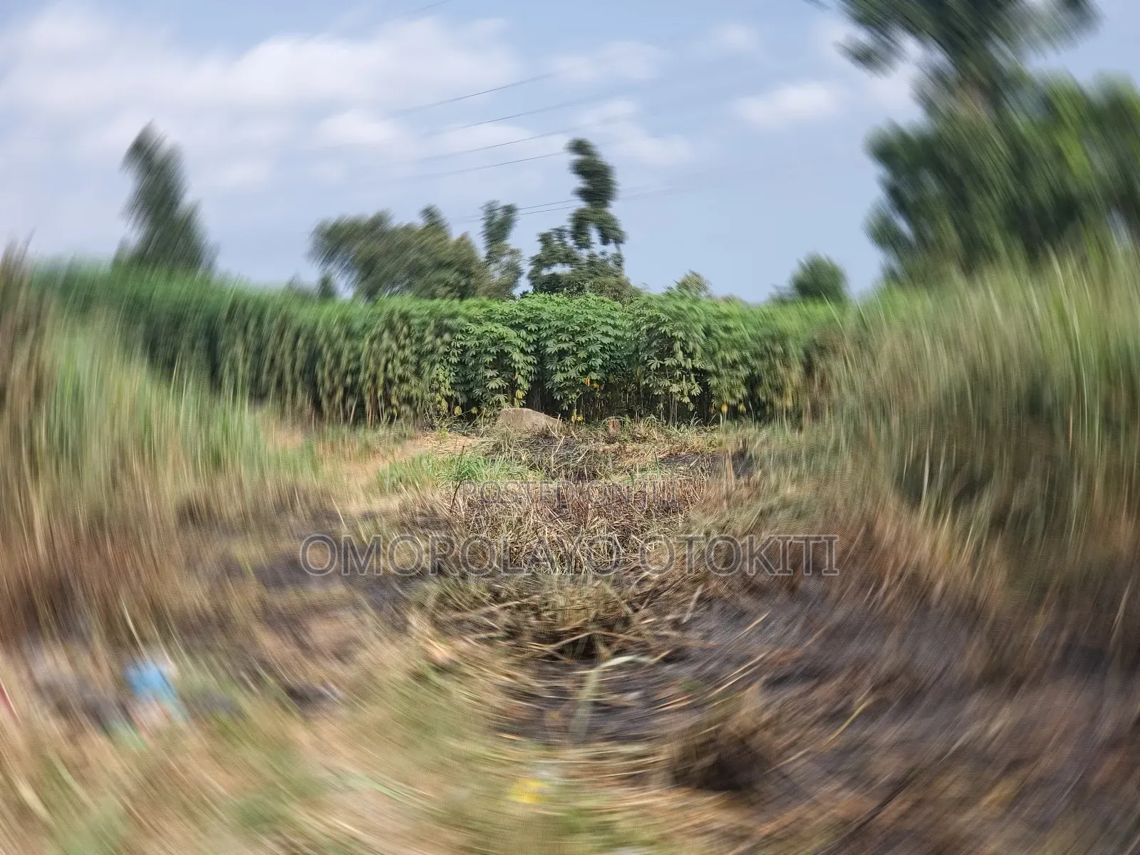 2 Plots of Land for Sale in Frontline Estate Opp Nestle Gate in Agbara-Igbesan