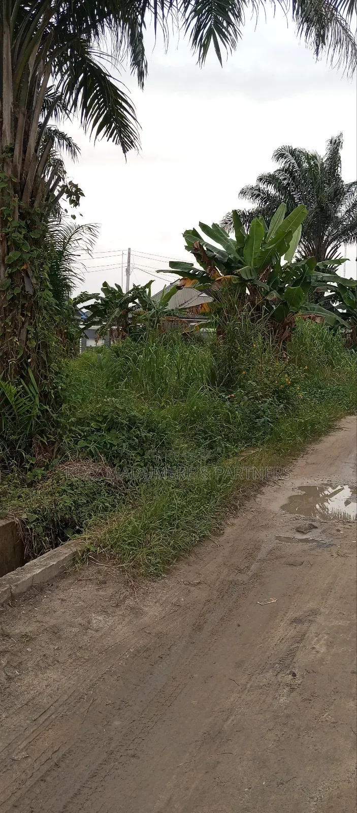 For Sale : 4 Fenced Plots at Radio Estate , Ozuoba , Nta in Port-Harcourt