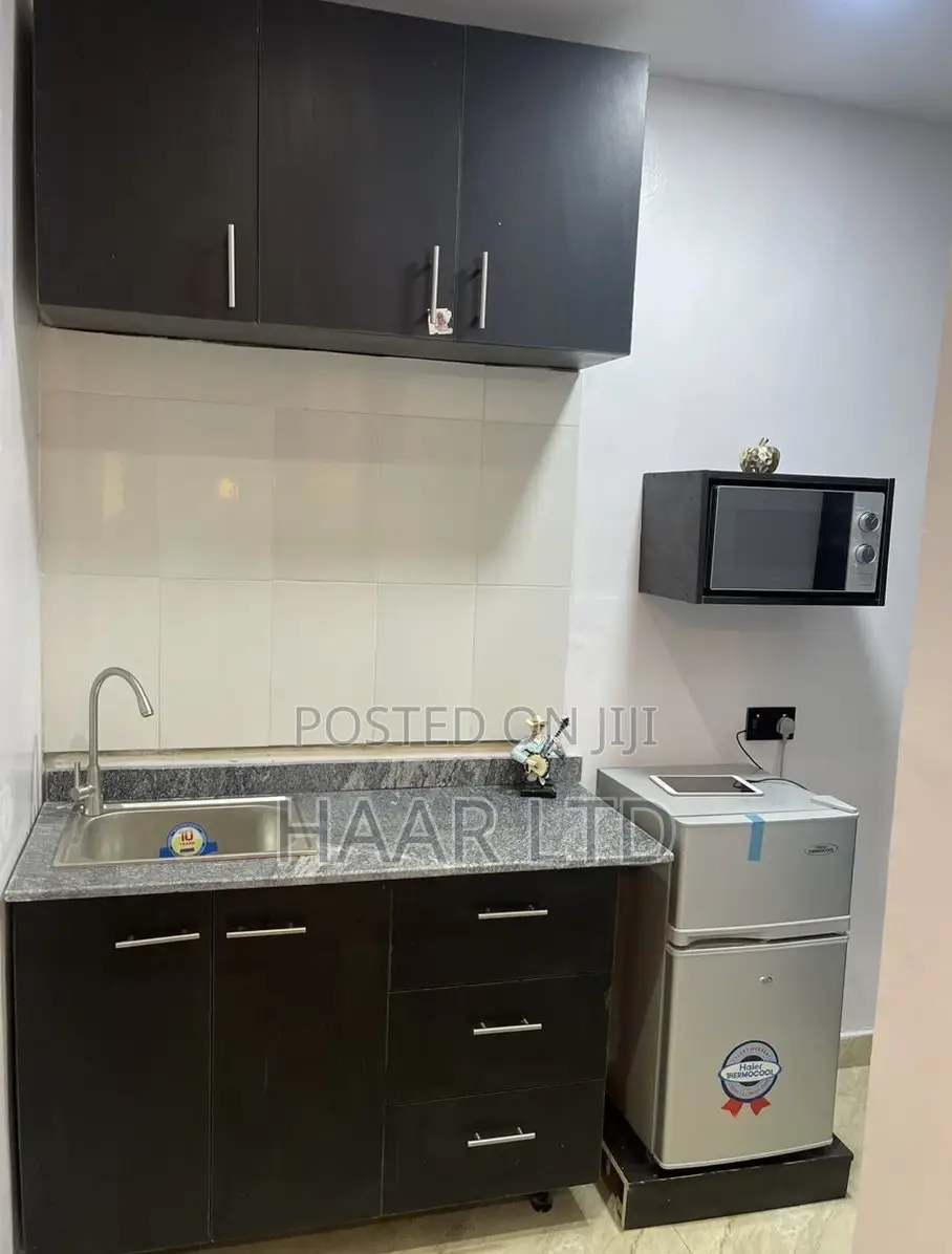 Brand New Studio Apartment in a Secured Estate in Ikate