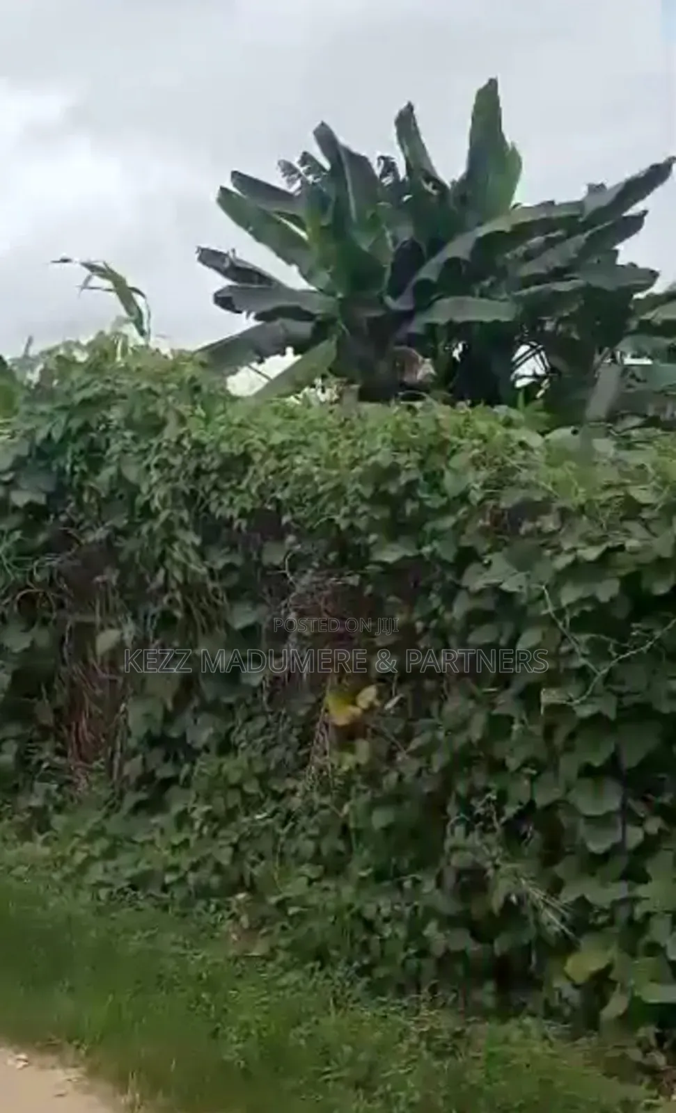For Sale : 100% Dried 11⁄3 Plots at Rukpokwu ,Ph in Rukpokwu