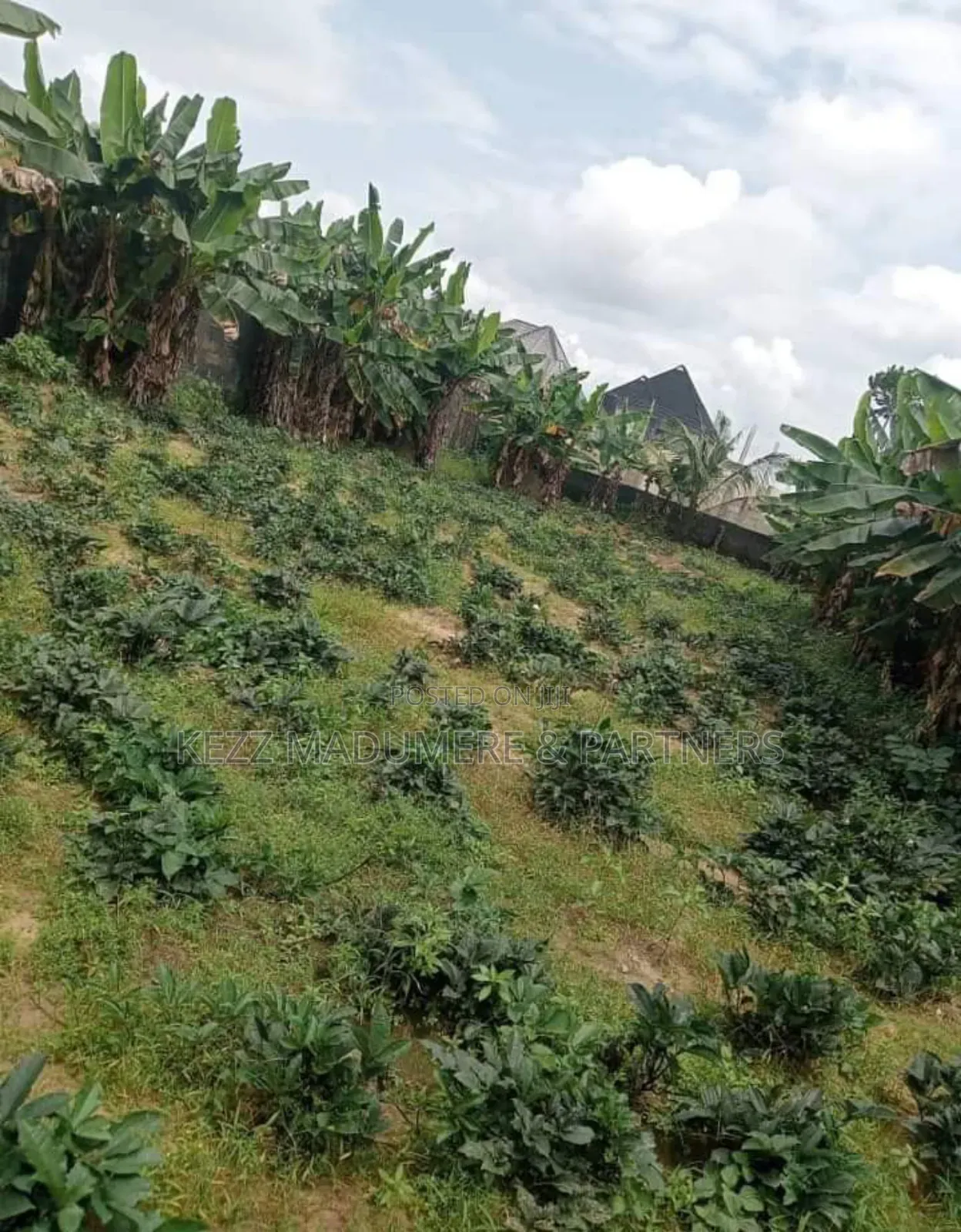 For Sale : 100% Dried 11⁄3 Plots at Rukpokwu ,Ph in Rukpokwu