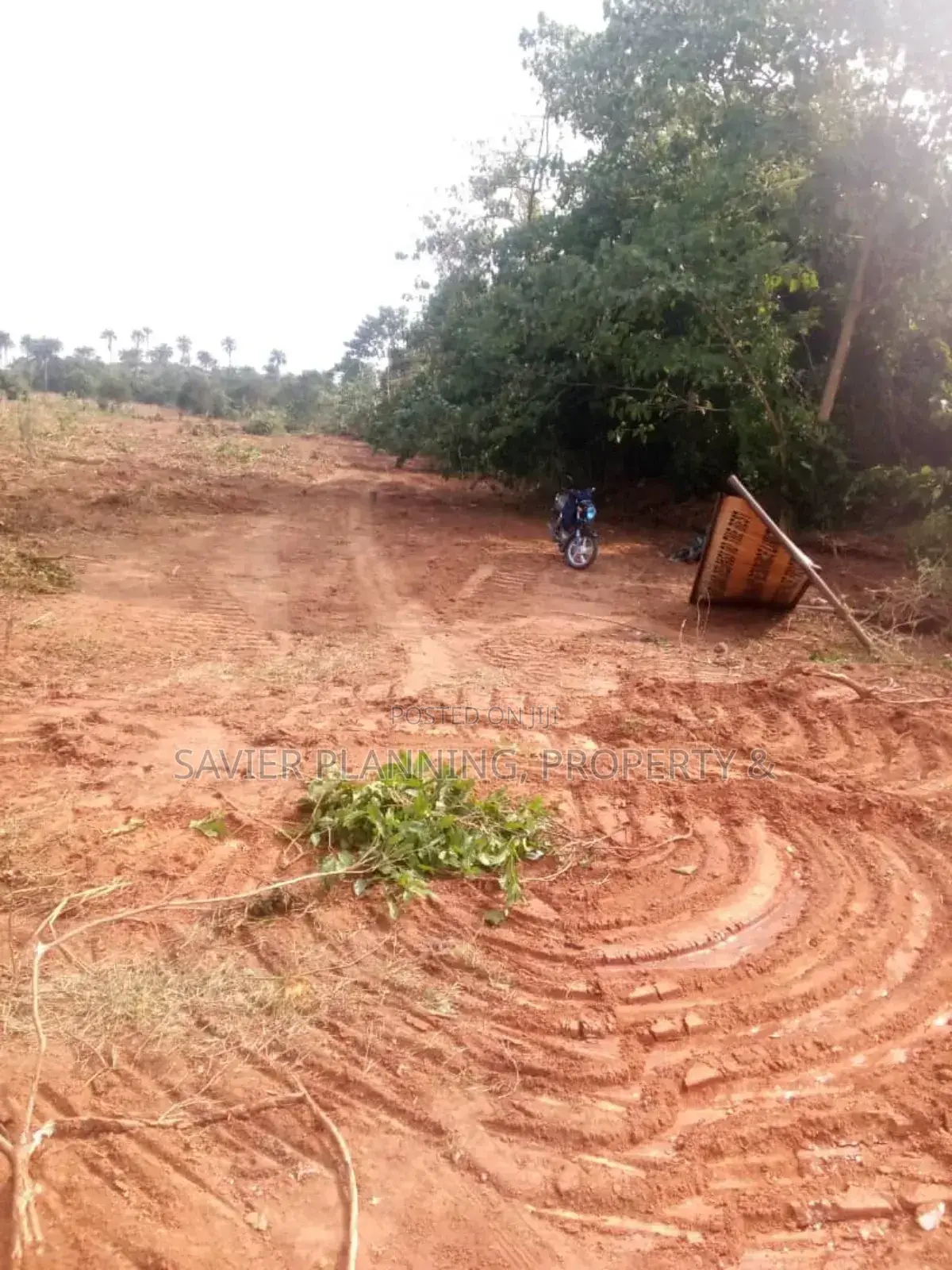 Adron City of Miami Park and Gardens in Osogbo