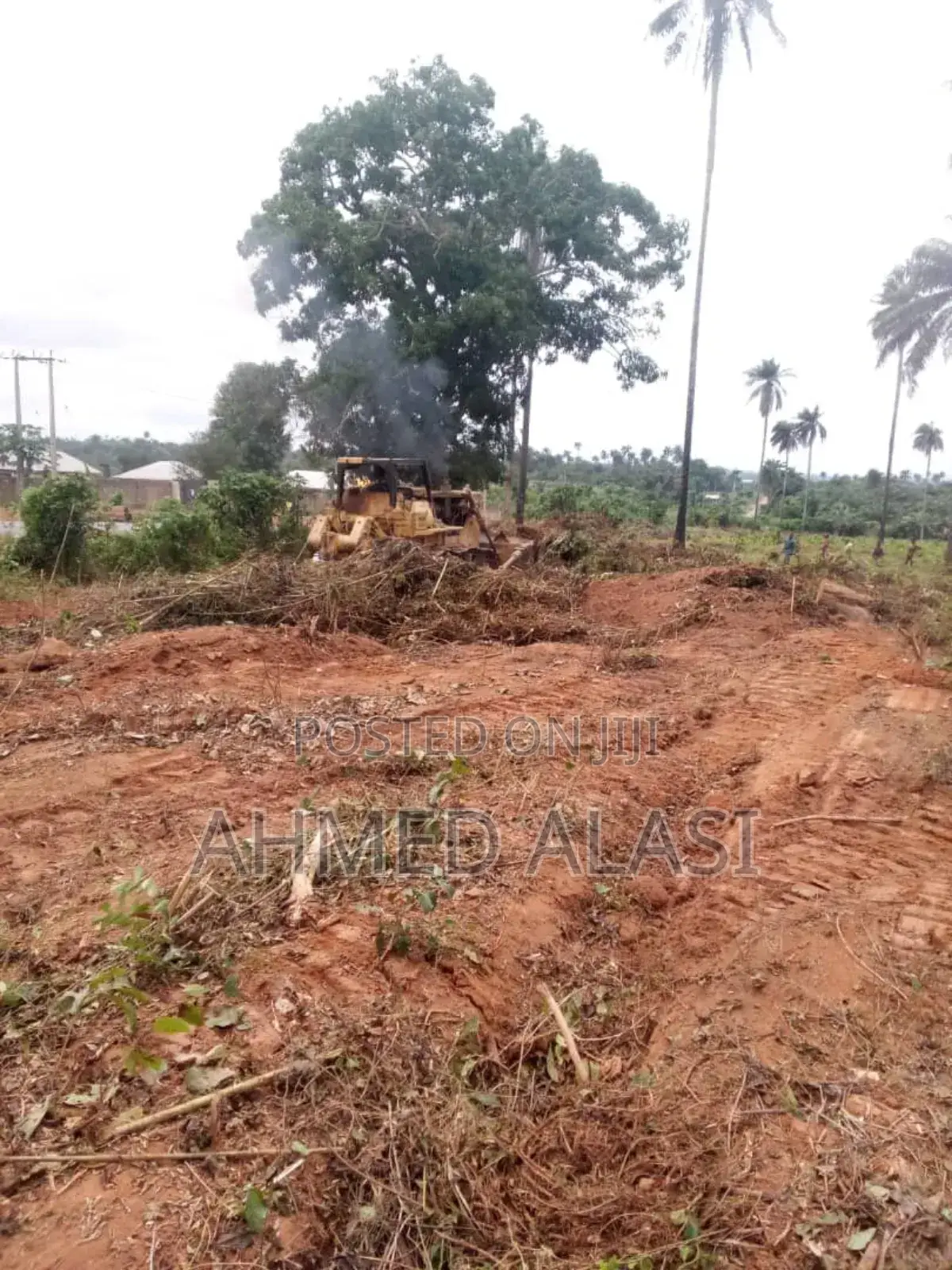Adron City of Miami Park and Gardens in Osogbo