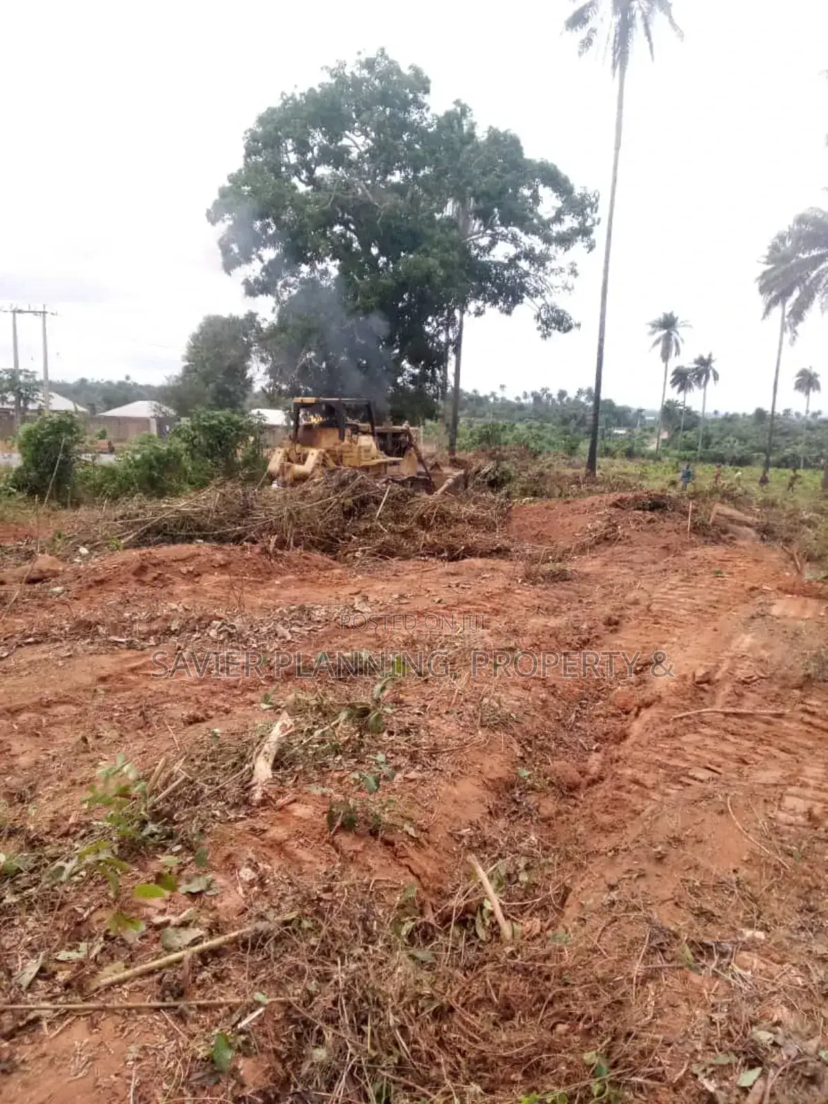 Adron City of Miami Park and Gardens in Osogbo