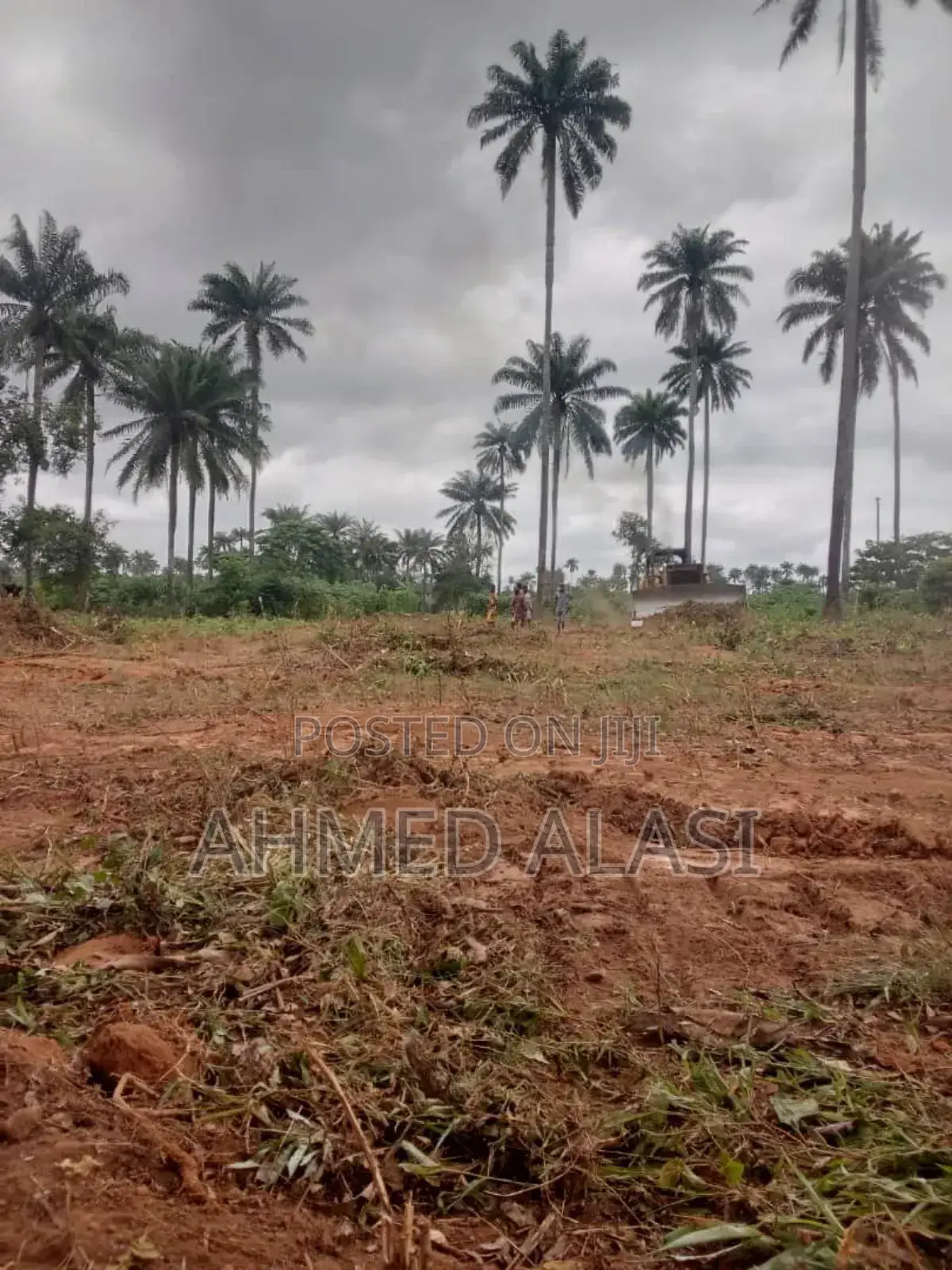 Adron City of Miami Park and Gardens in Osogbo