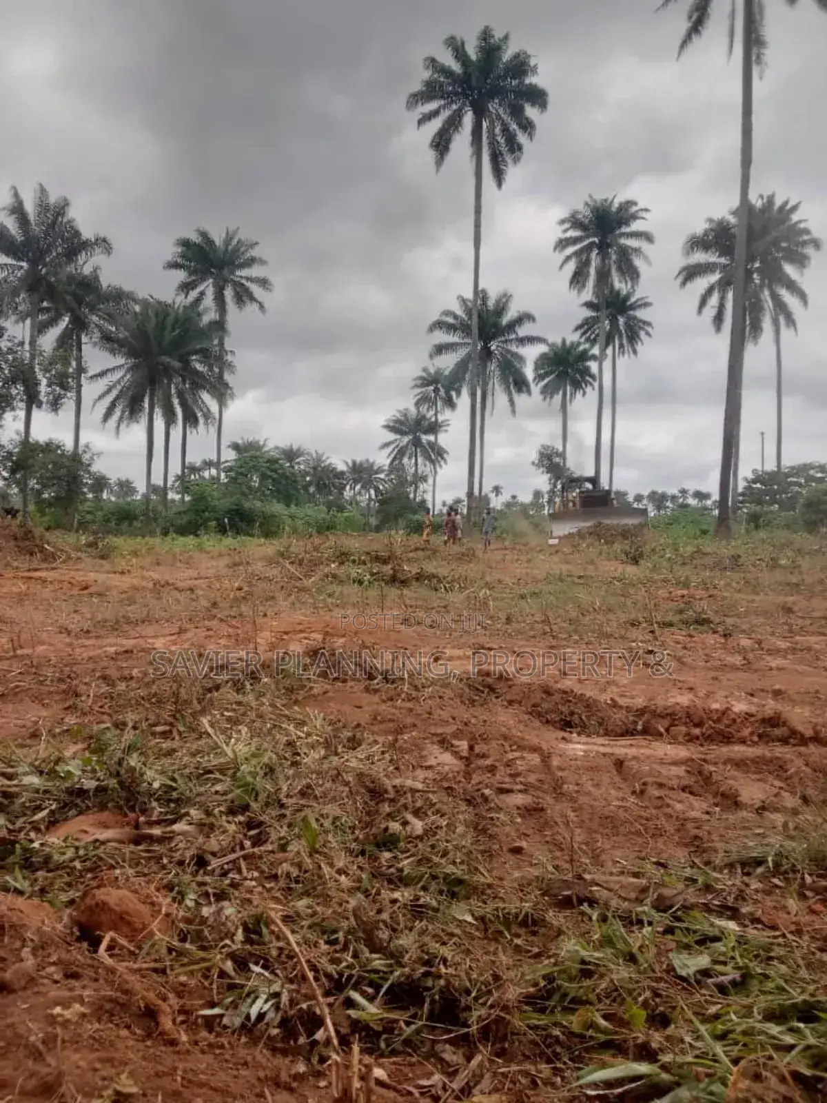 Adron City of Miami Park and Gardens in Osogbo