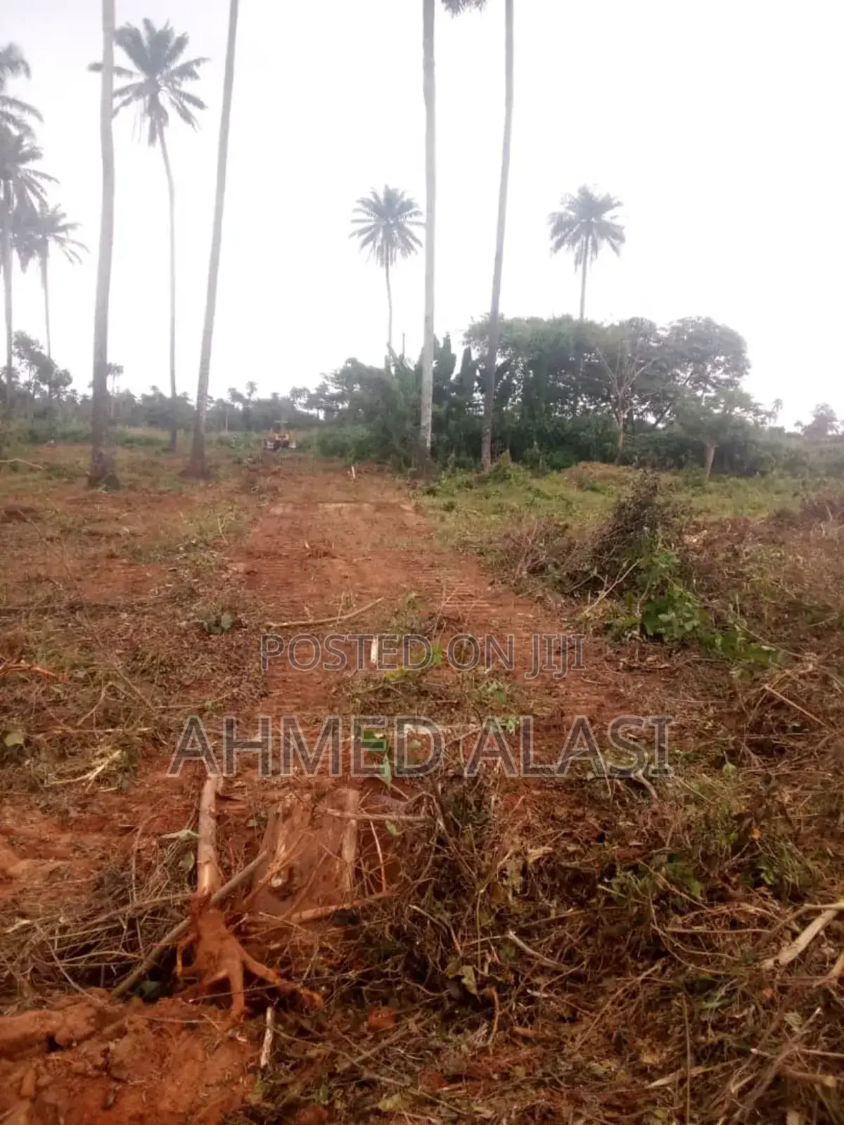 Adron City of Miami Park and Gardens in Osogbo