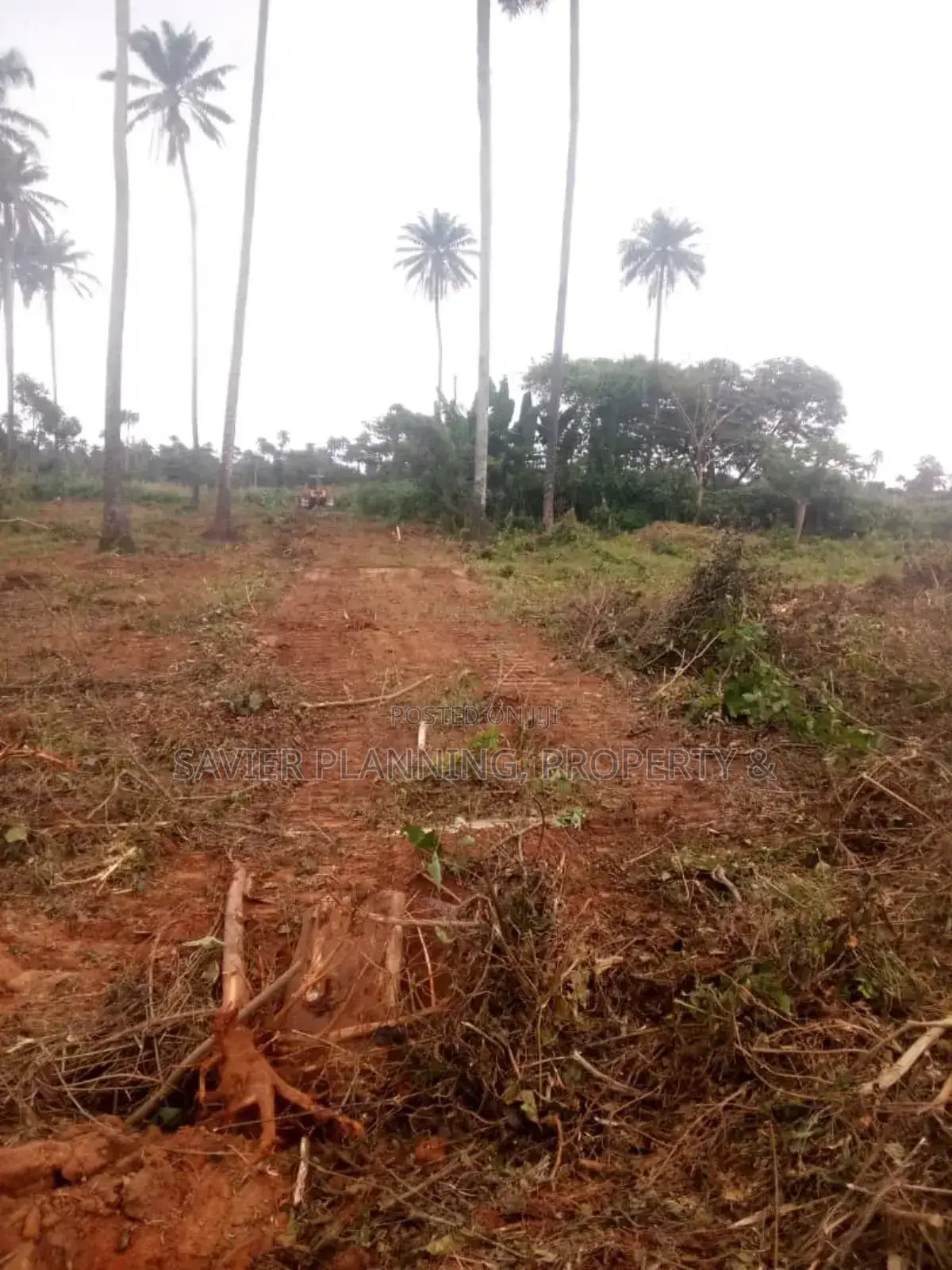 Adron City of Miami Park and Gardens in Osogbo