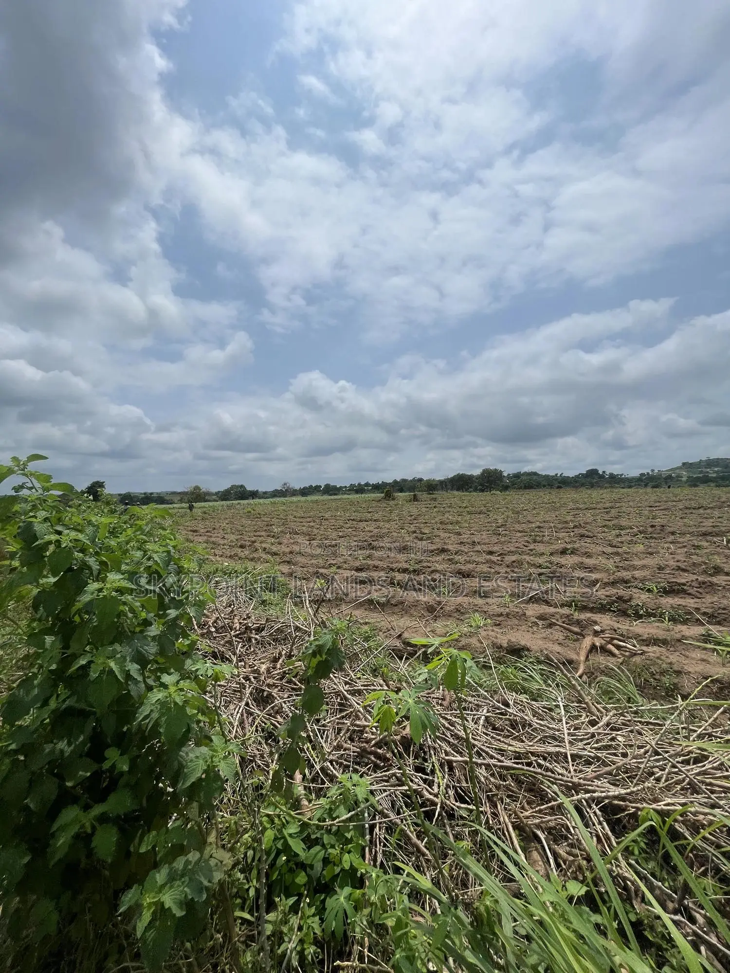 15 Acres of Farmland at Odo Ogun Iseyin in Iseyin