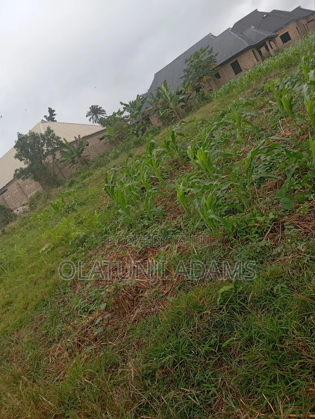 Standard 2plot of Land at Onioba Area in Osogbo