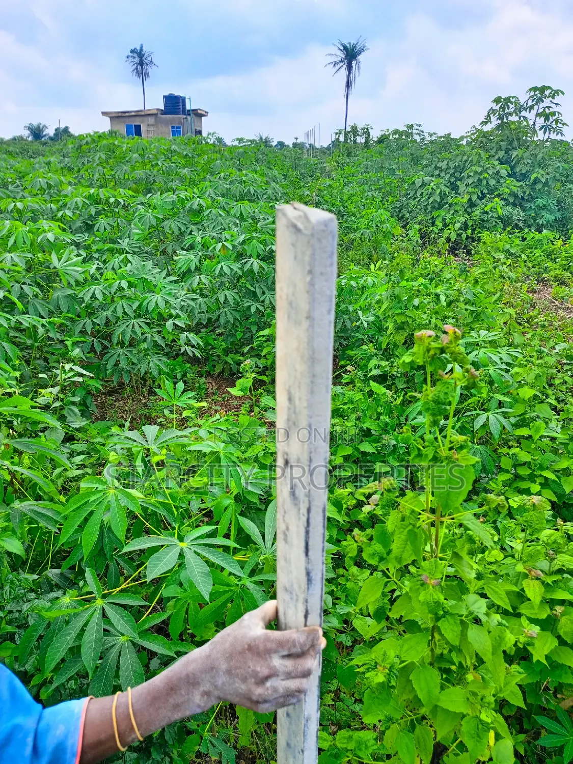 Acres of Land for Sale in Obafe Isiun Abeokuta Express Ogun in Obafemi-Owode