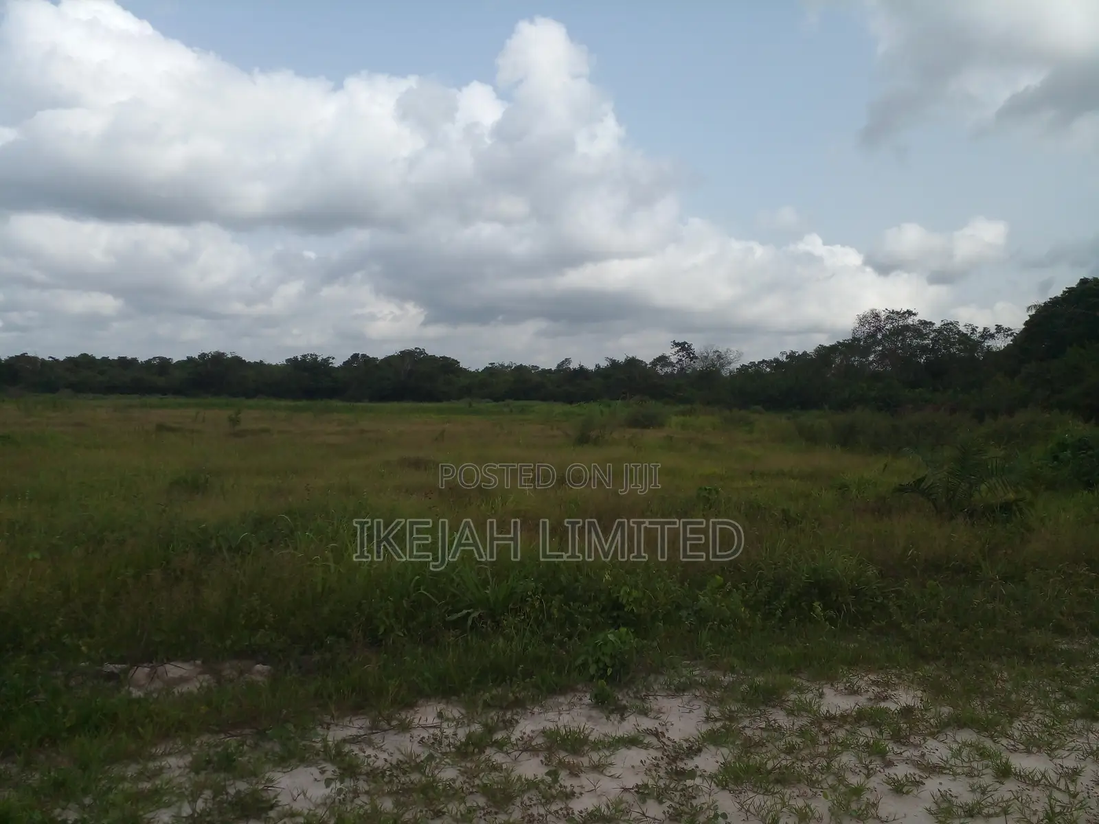 Land for Sale in Umuwuagwu by Ibusa in Aniocha South