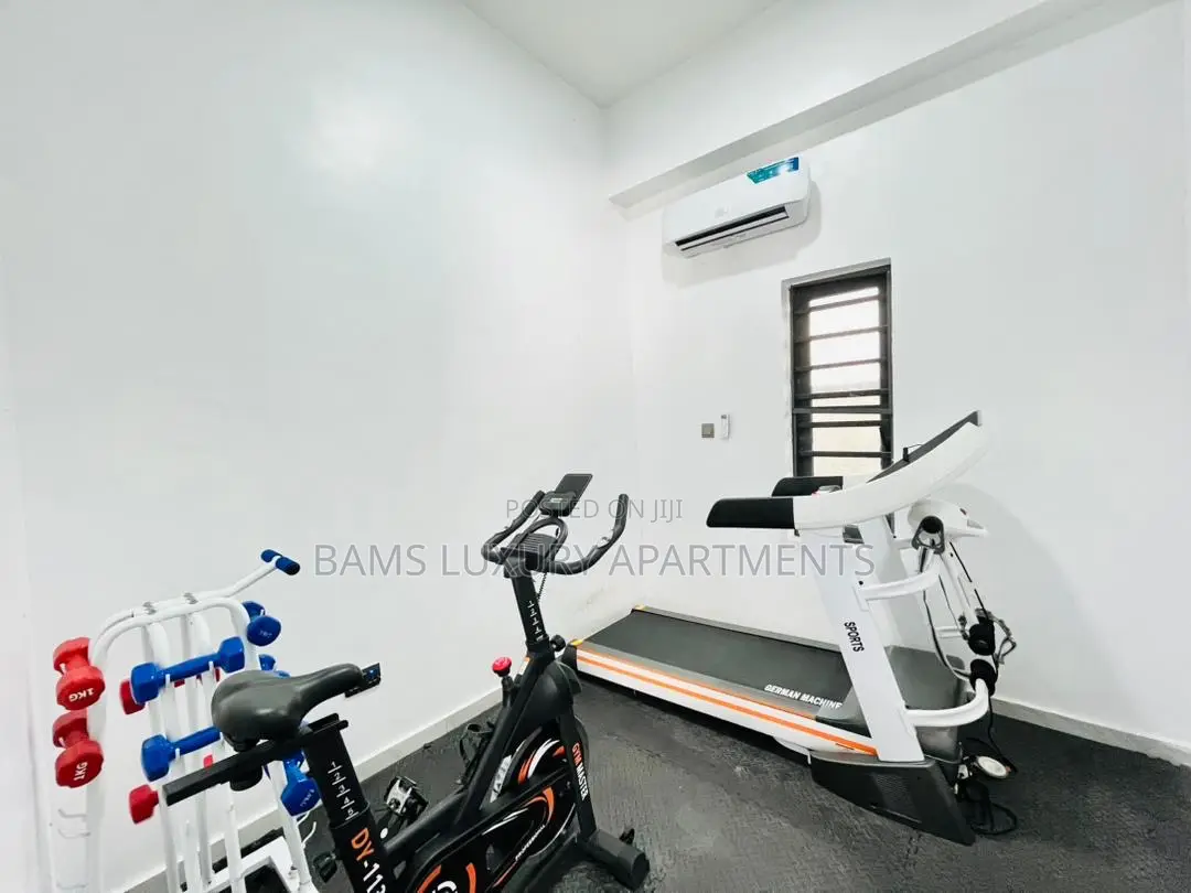 3 Bedroom Apartment With Ps5 , Gym and a Balcony. in Lekki