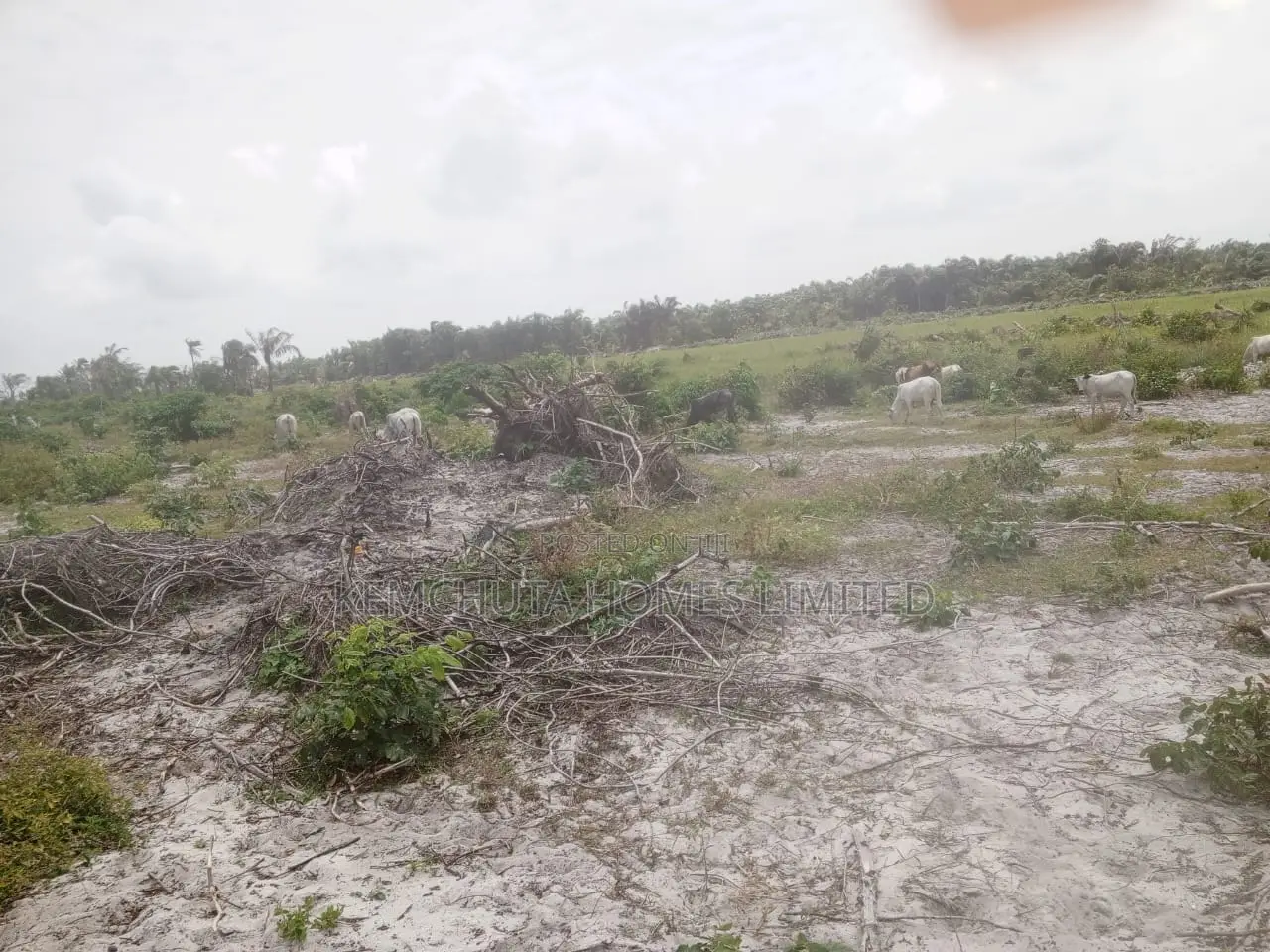 Most Sought-after Estate With Instant Allocation In Lagos in Sangotedo