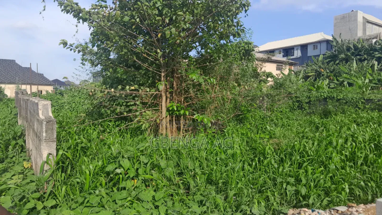 Half Plot of Land for Sale at Ojodu in Ojodu