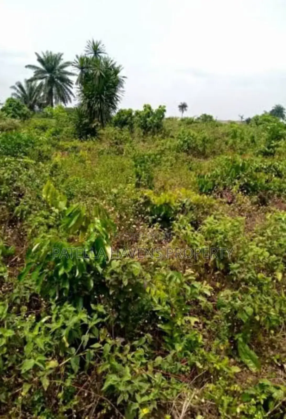 Land for Sale in Kuje in Kuje
