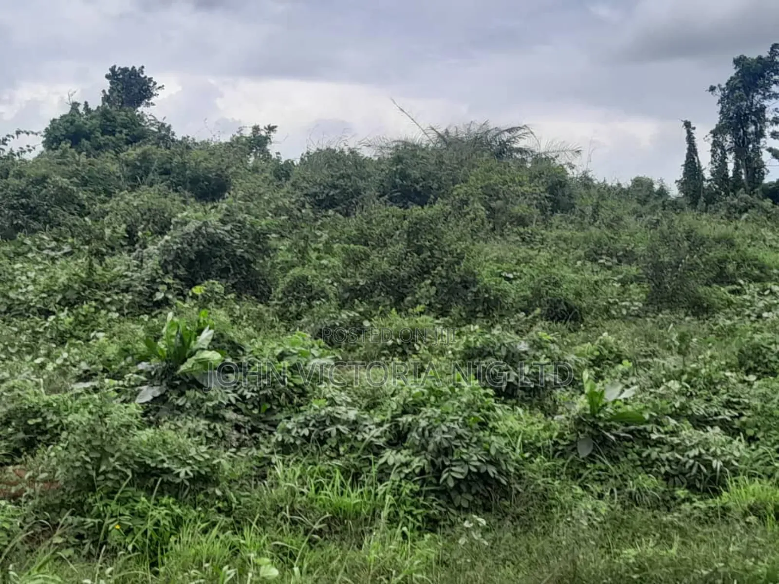 Registered Survey, Deed of Agreement , in Obafemi-Owode