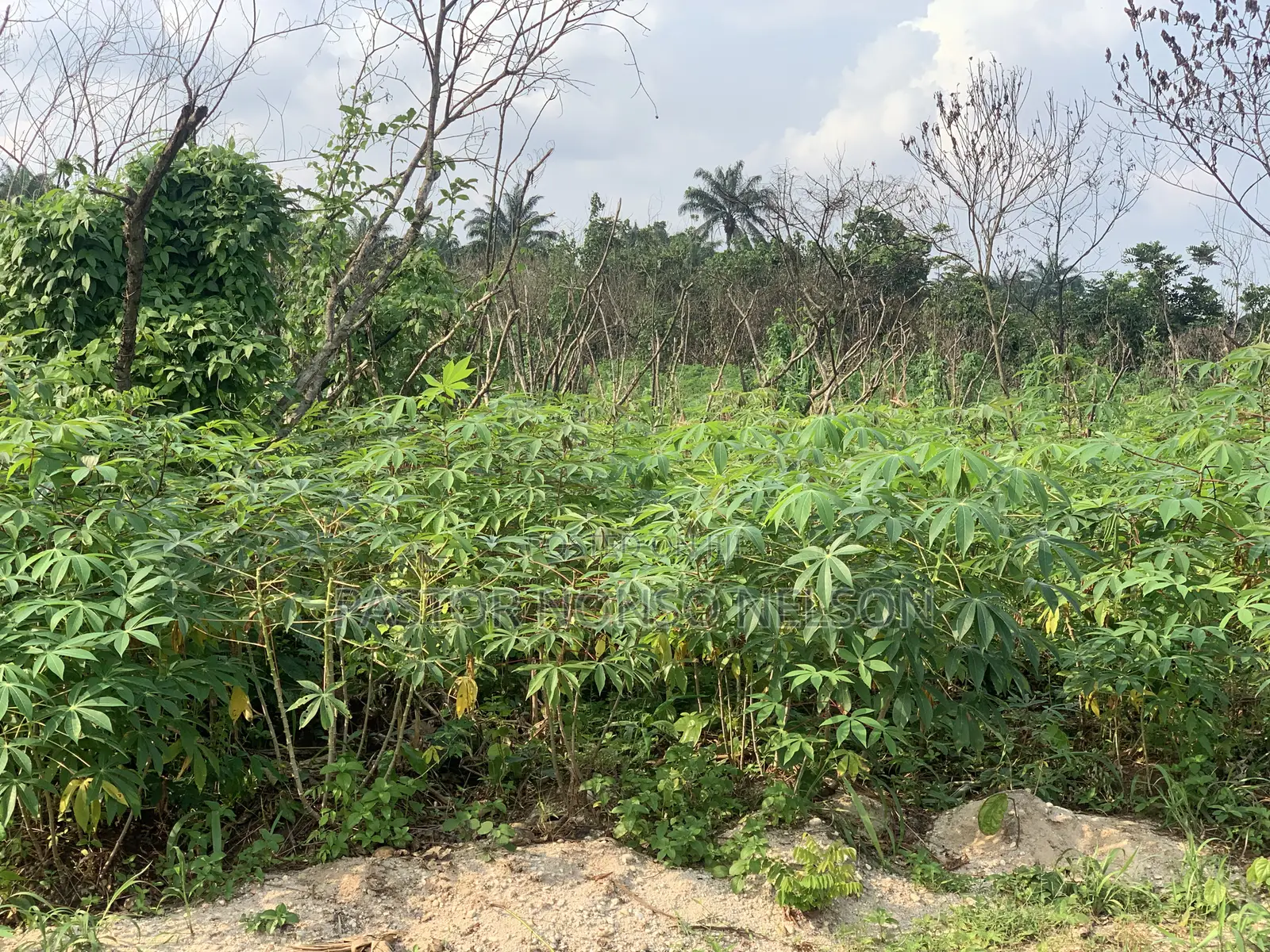 6plots at Evang Ebuka Obi Area, Near Fancy Nancy Hotel Okpala in Ngor-Okpala