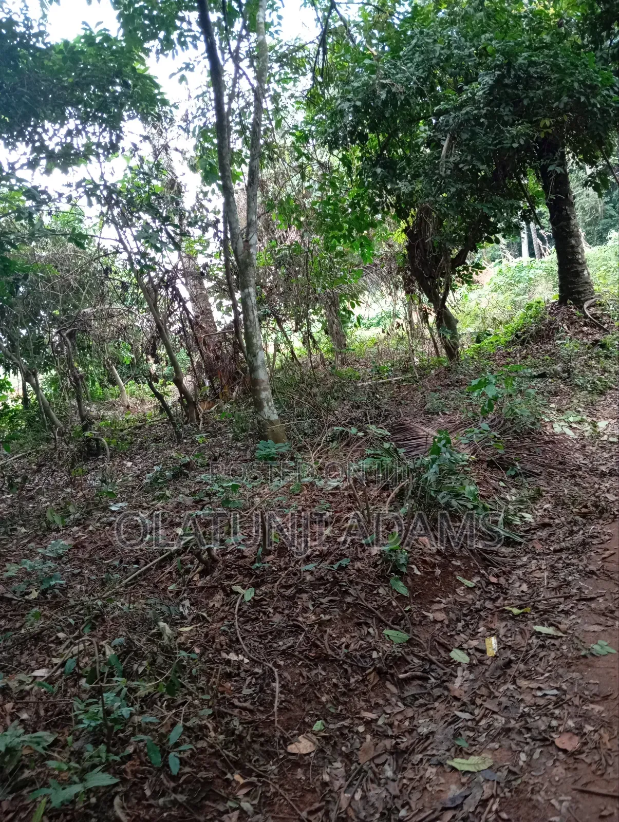 1000acres of Farmland at Faforijin in Osogbo
