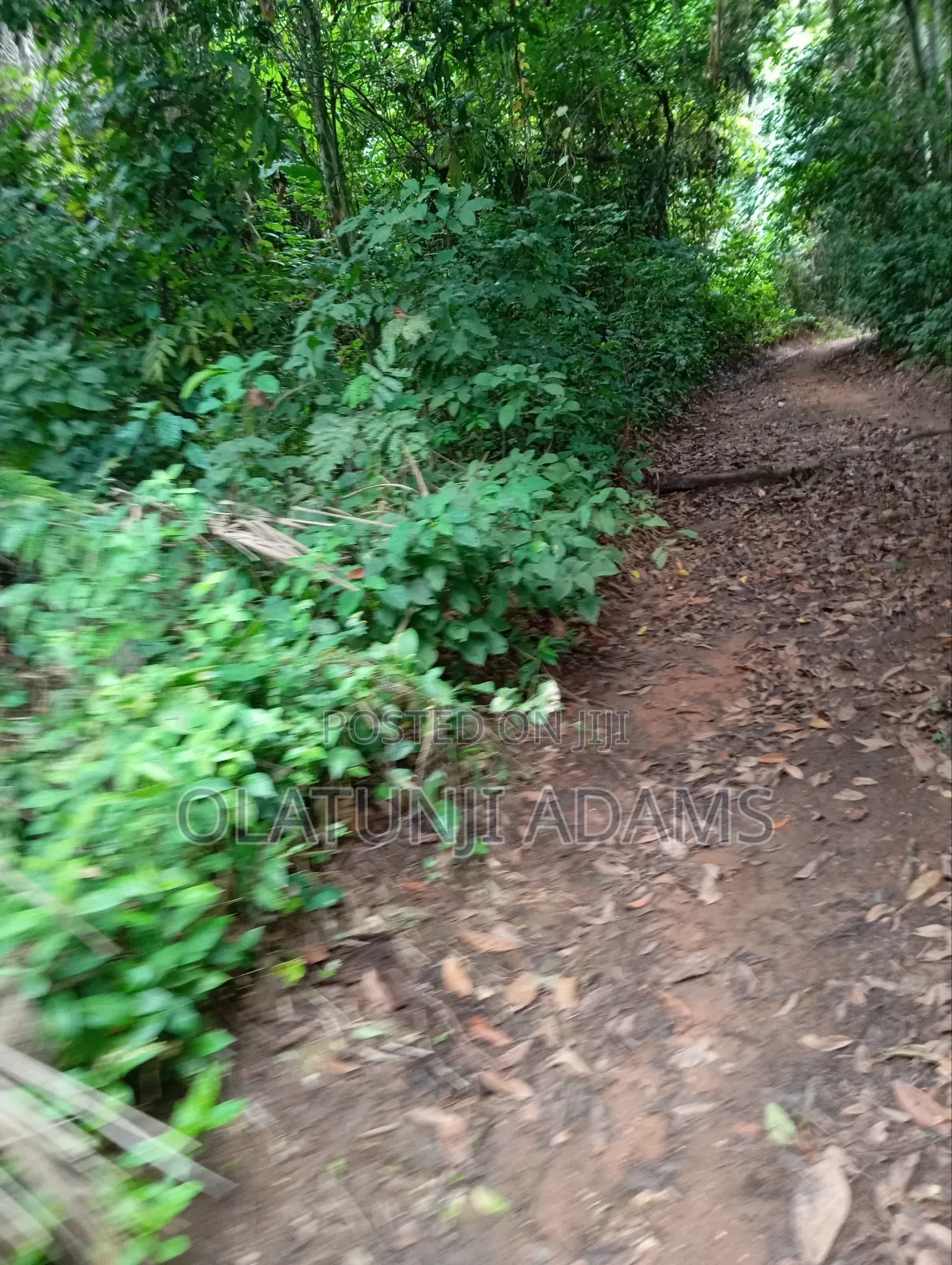 1000acres of Farmland at Faforijin in Osogbo