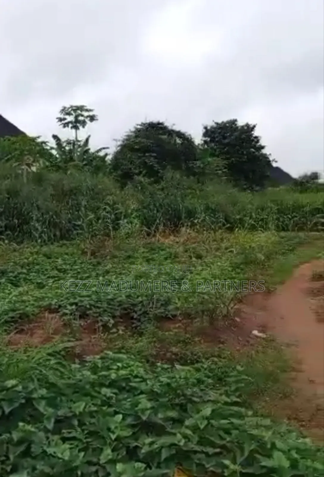 For Sale: Fenced 12 Plots, At New Owerri, Imo State in Owerri