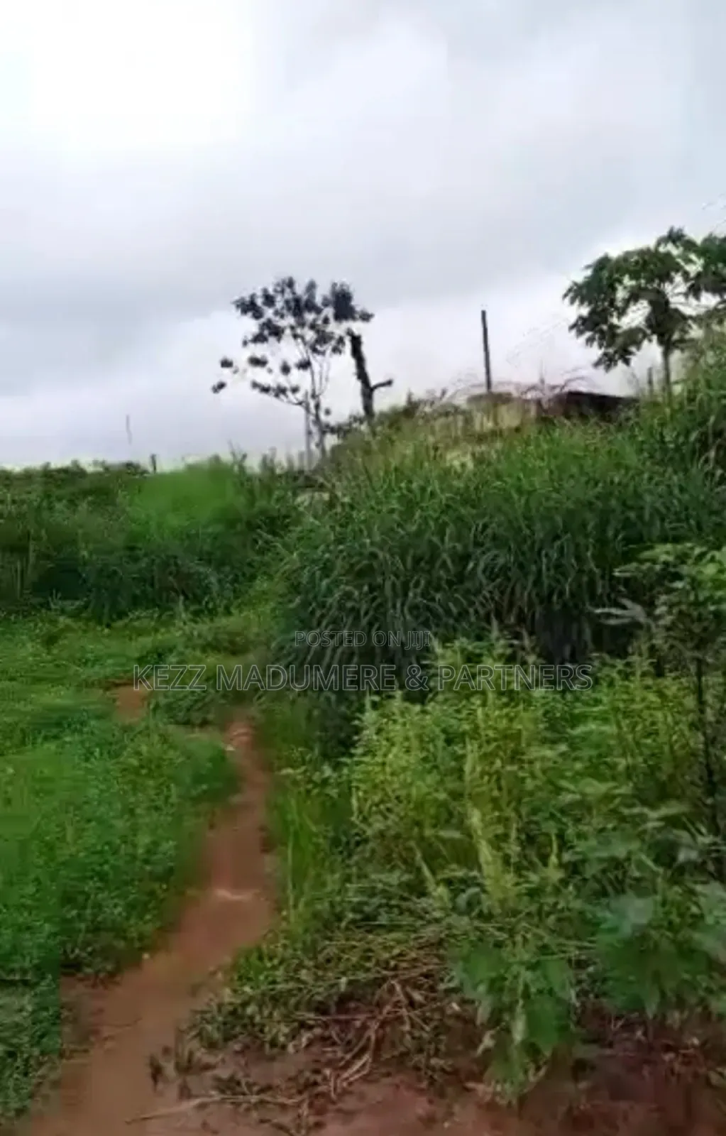 For Sale: Fenced 12 Plots, At New Owerri, Imo State in Owerri
