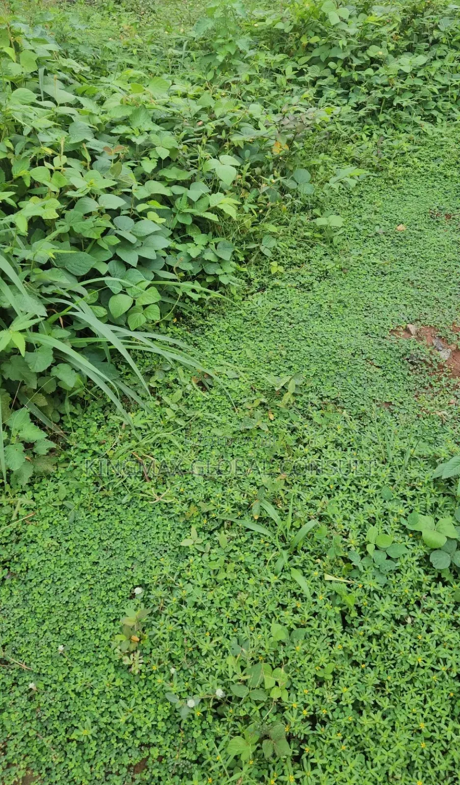 Land for Sale at Guzape 2. Size: 100 Hectares R of O in Maitama