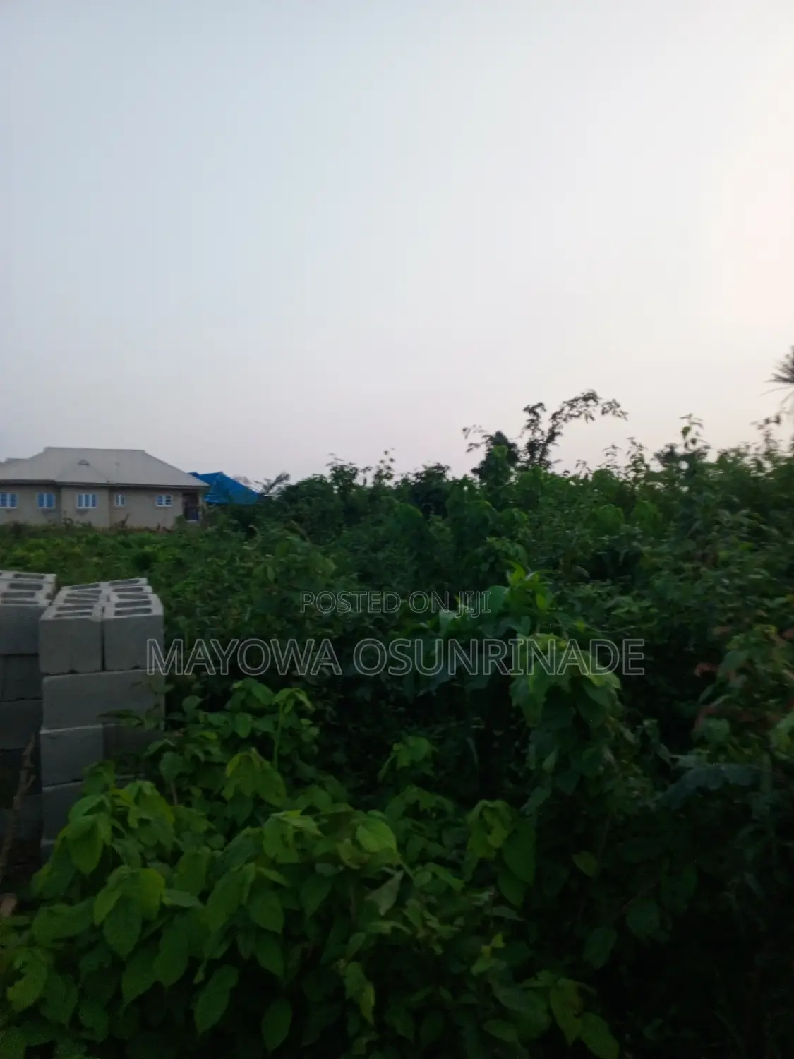 Full Plot of Land at Idi Obi, Ologuneru/Ido Road in Ologuneru