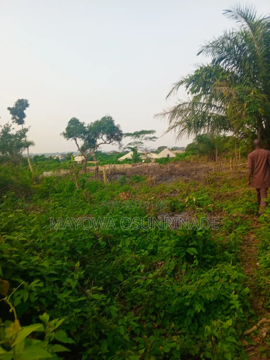 Full Plot of Land at Idi Obi, Ologuneru/Ido Road in Ologuneru