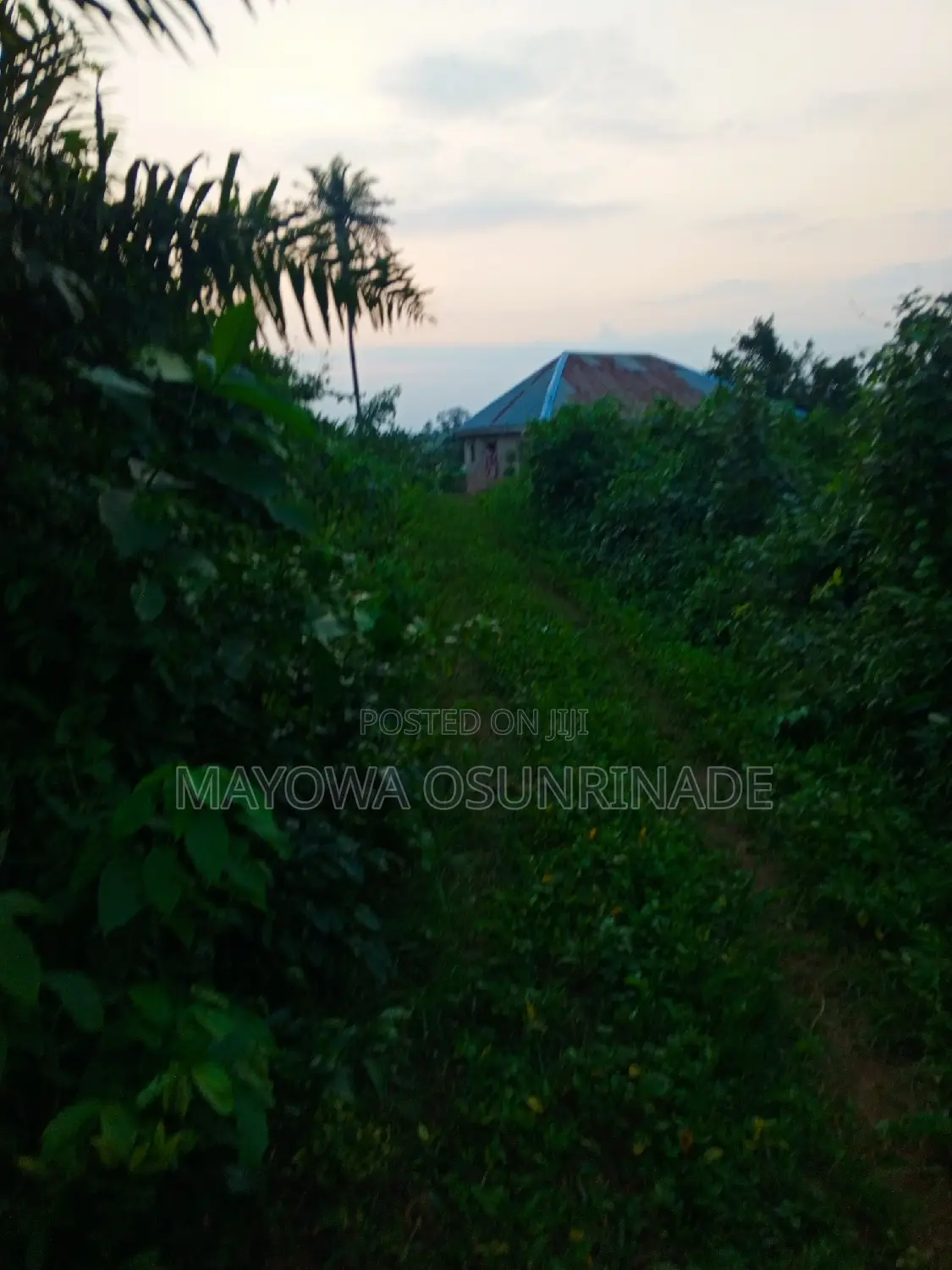 Full Plot of Land at Idi Obi, Ologuneru/Ido Road in Ologuneru