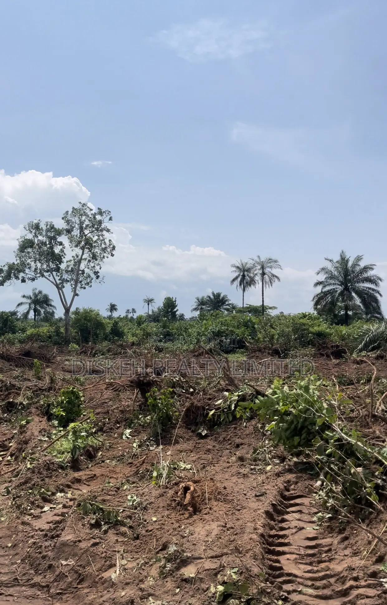 CITY GROOVE ESTATE PHASE 2- Lands In Ogbaku Owerri in Owerri