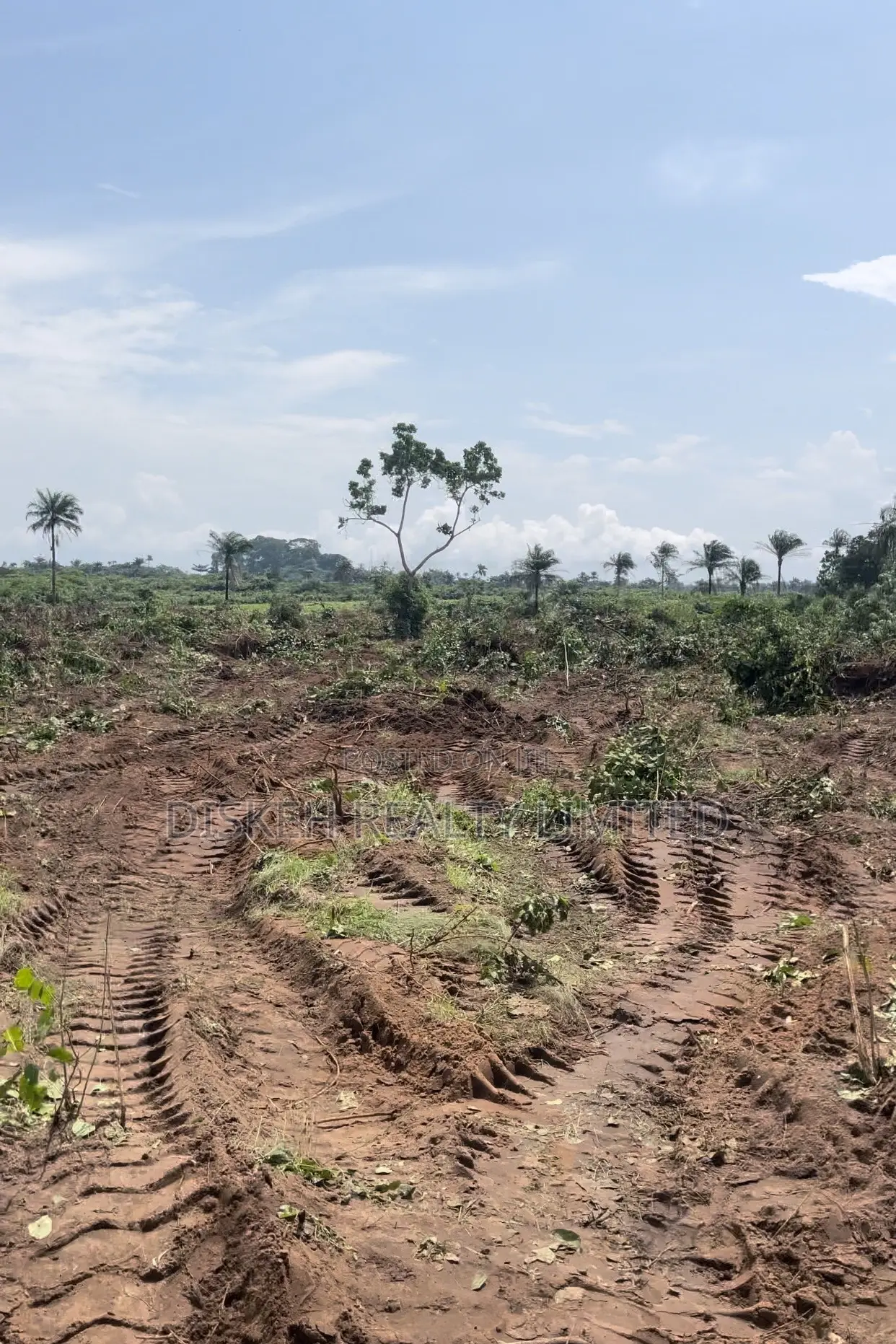 CITY GROOVE ESTATE PHASE 2- Lands In Ogbaku Owerri in Owerri