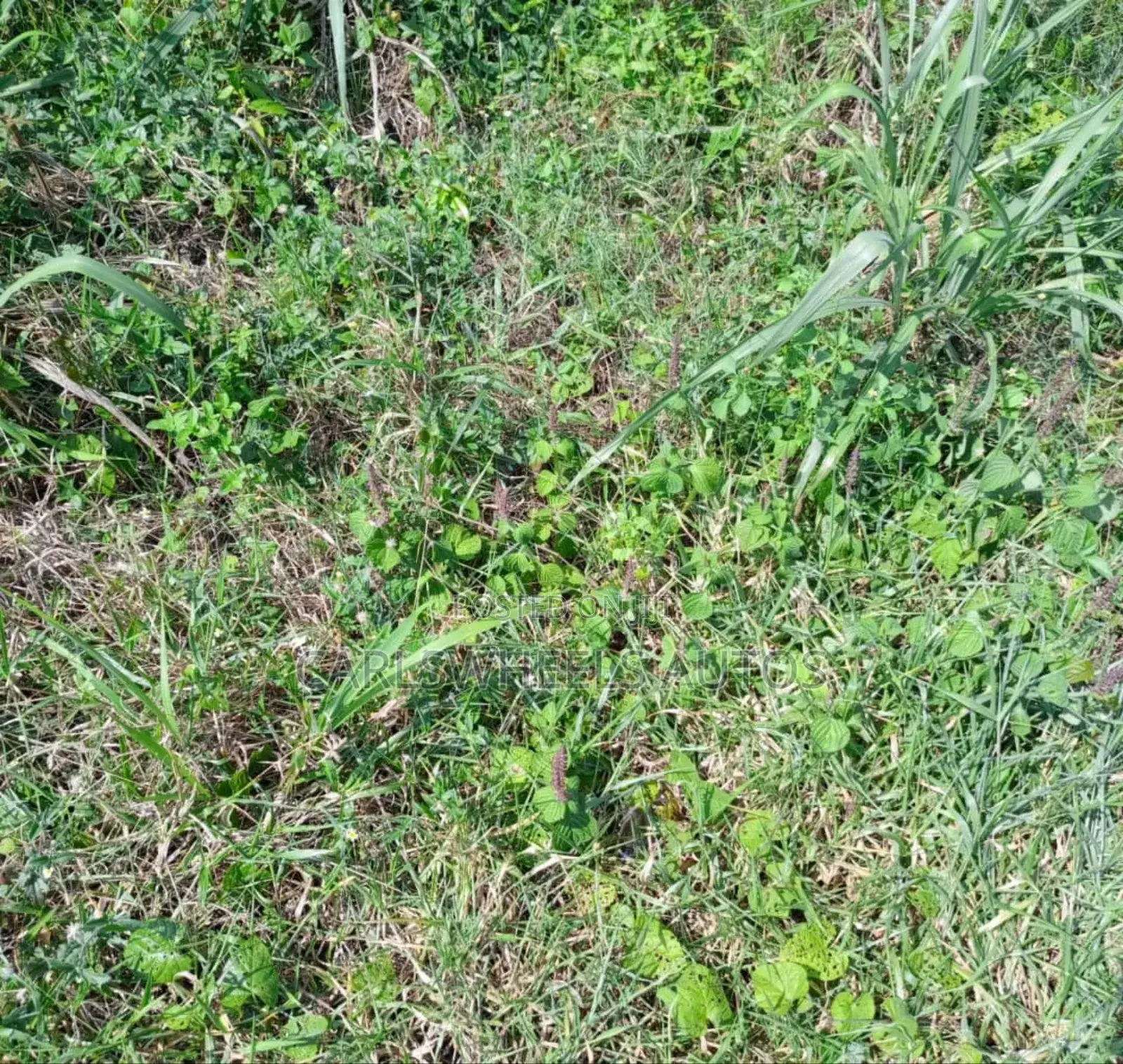 500qm Plots of Land in Amber Court Estate Epe. in Epe
