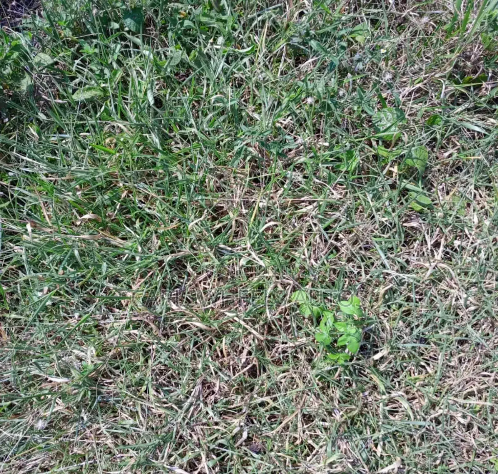 500qm Plots of Land in Amber Court Estate Epe. in Epe