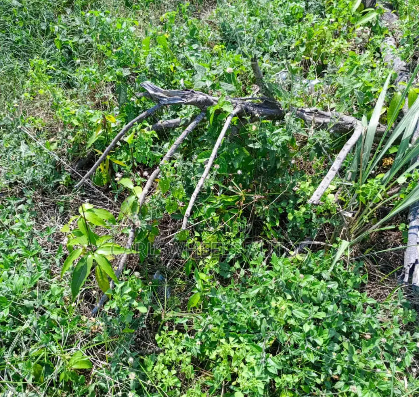500qm Plots of Land in Amber Court Estate Epe. in Epe