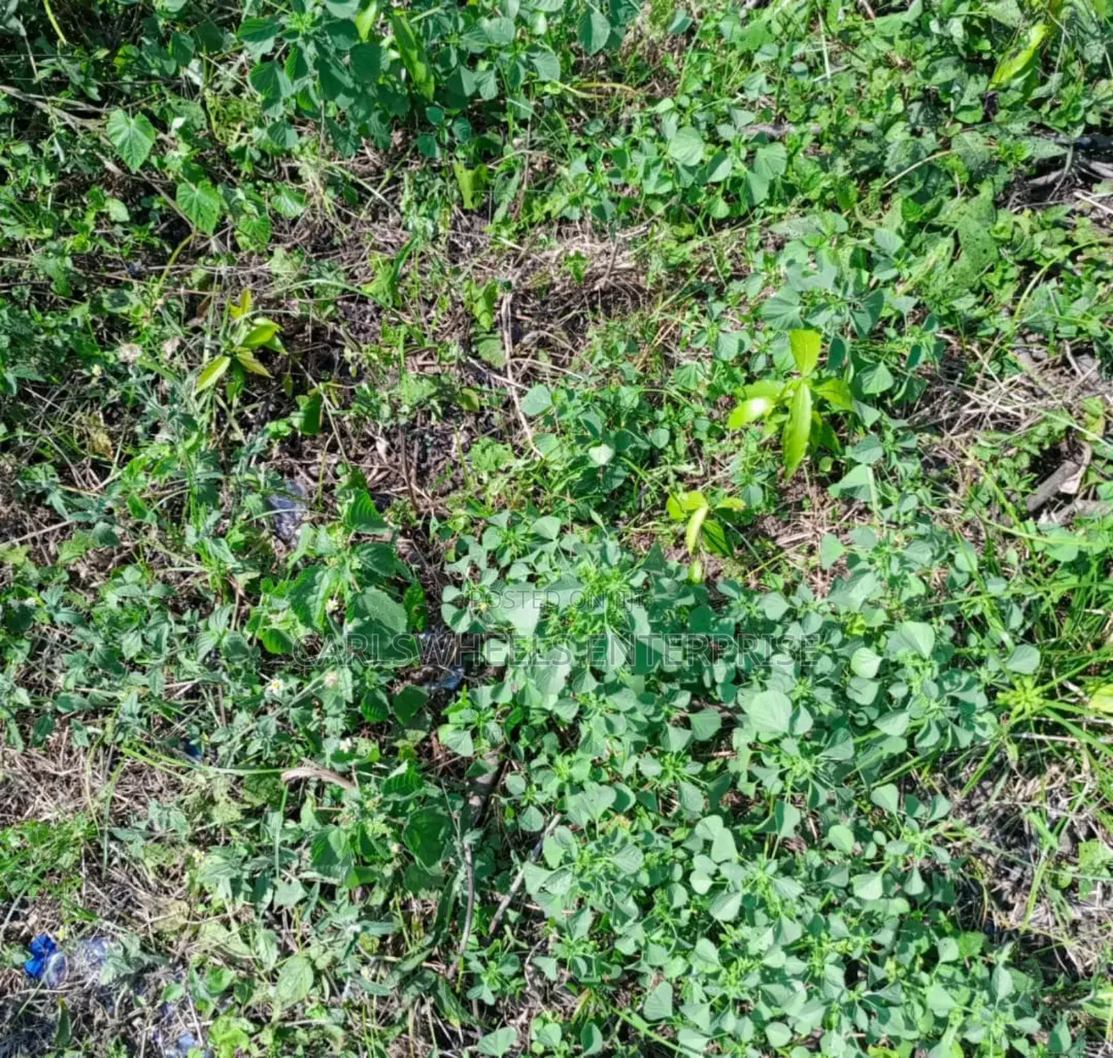 500sqm Size Plots of Land in Dangote Refinery Facingthe Road in Ibeju