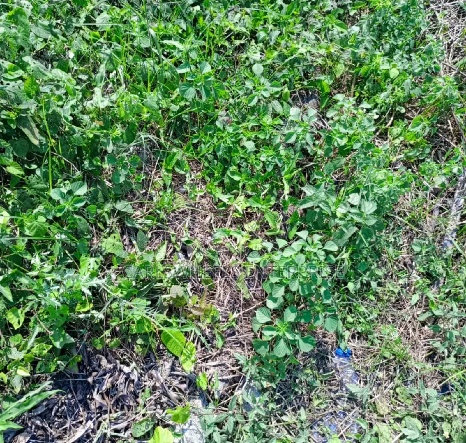 500sqm Size Plots of Land in Dangote Refinery Facingthe Road in Ibeju