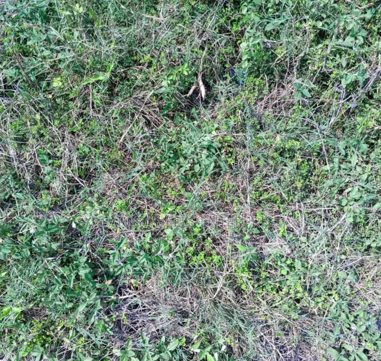 500sqm Size Plots of Land in Dangote Refinery Facingthe Road in Ibeju
