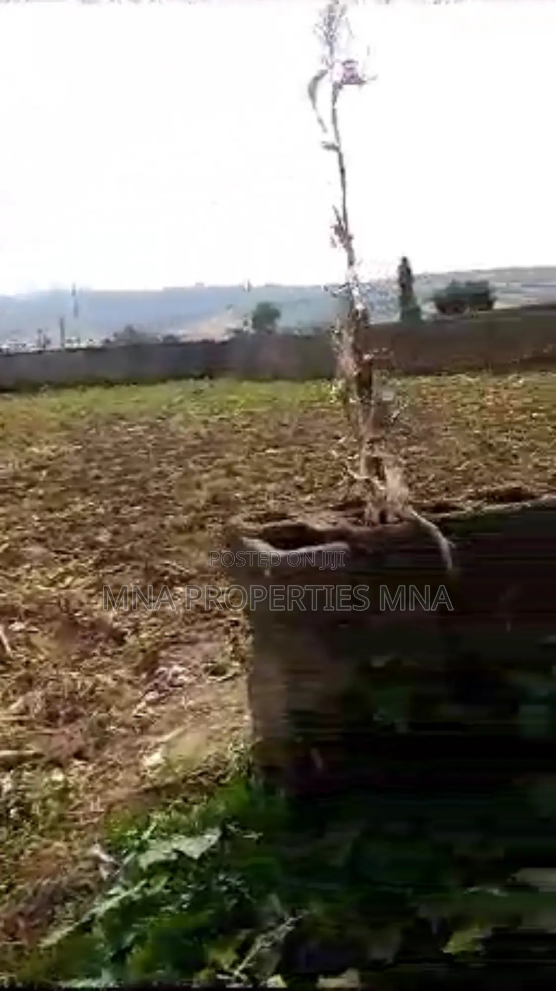 Army Estate Kurudu in Kurudu