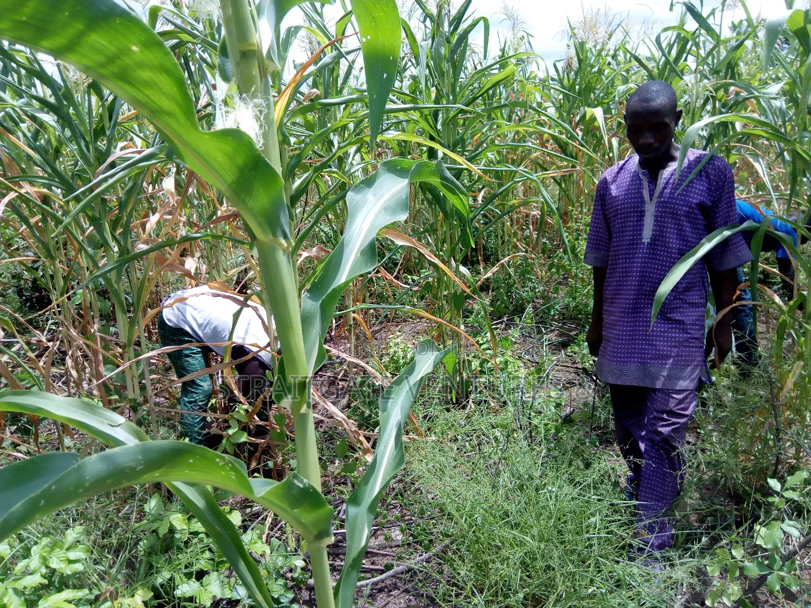 5 Acres of Land at Akufo, Ibadan. in Ido