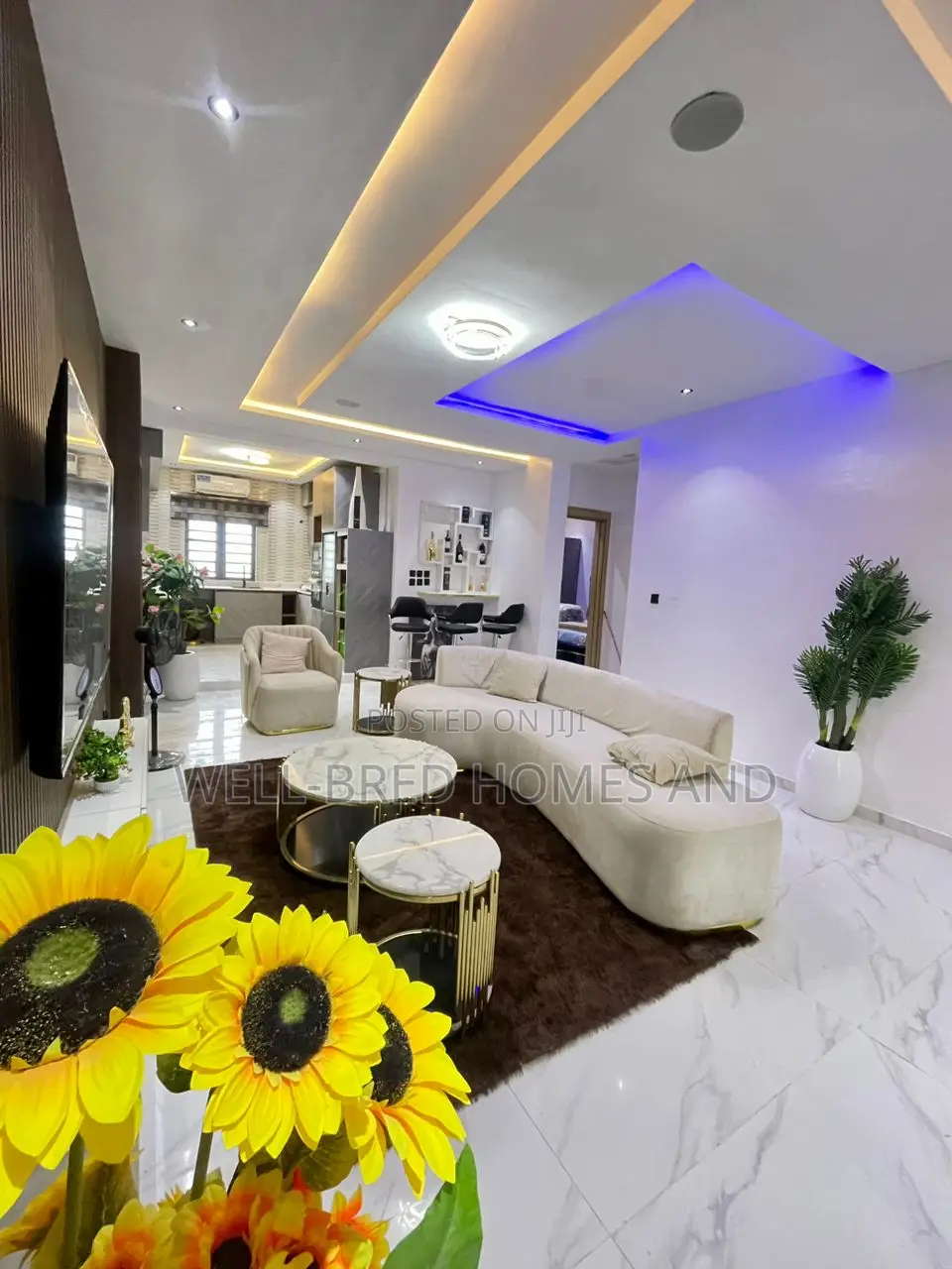 Furnished 2bdrm Apartment in Ikate Lekki for sale in Ikate
