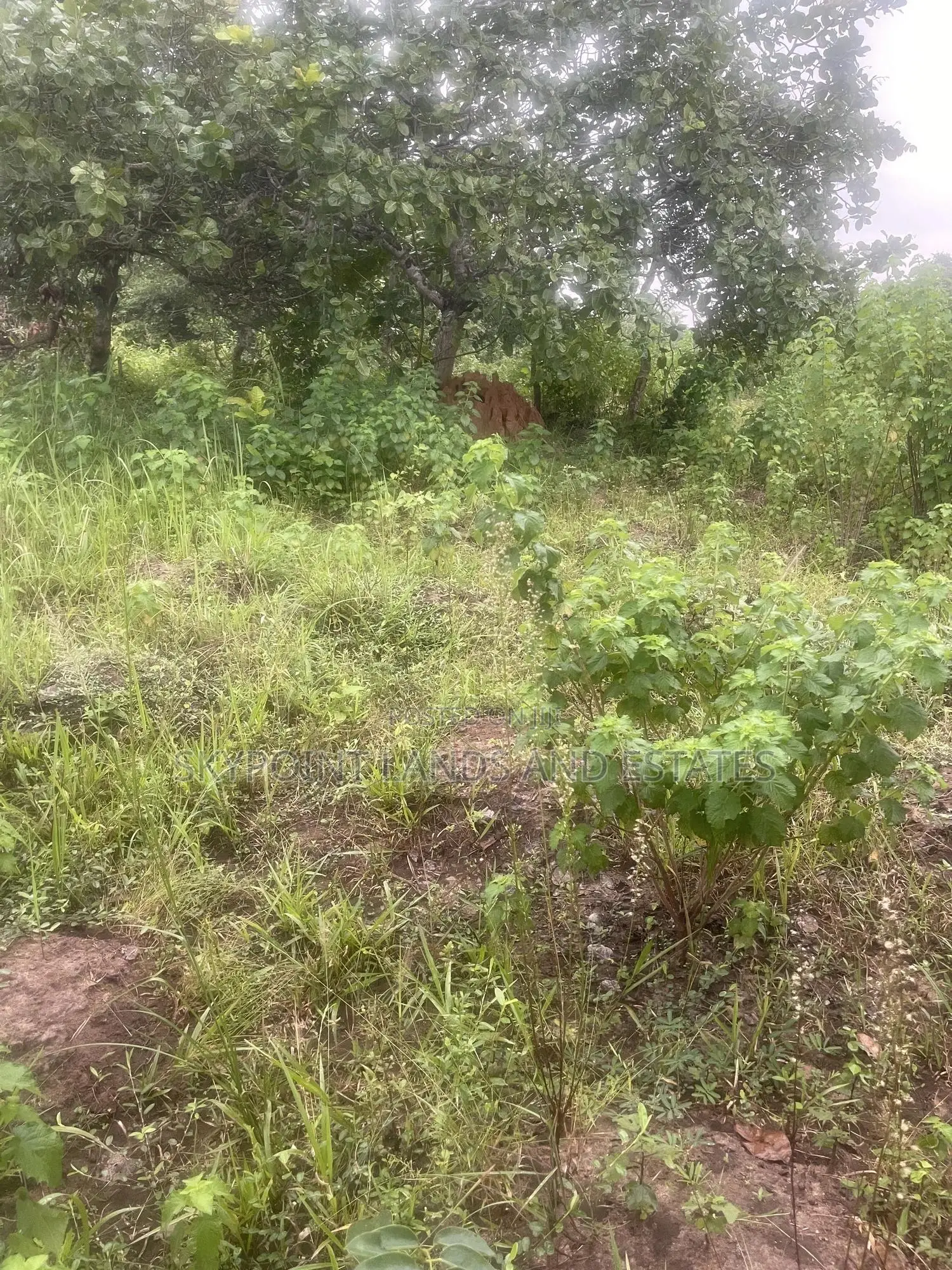 1 Plot Behind Lautech Campus in Iseyin