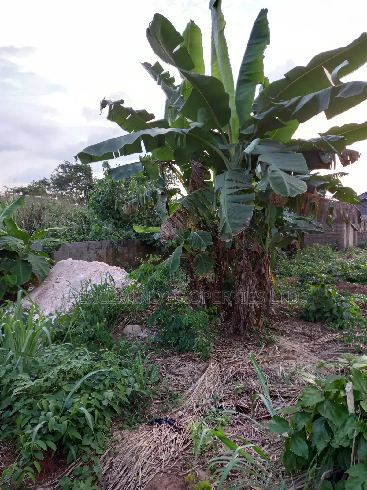A Plot of Land Measuring 600sqm2 in Duke Estate in Obafemi-Owode