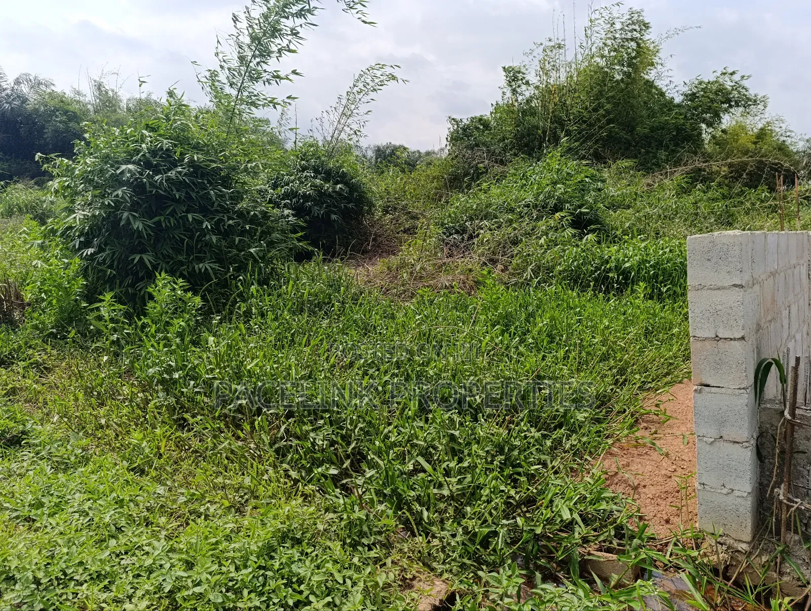 Half Plot of Land to Be Cut Out in Ipaja / Ipaja