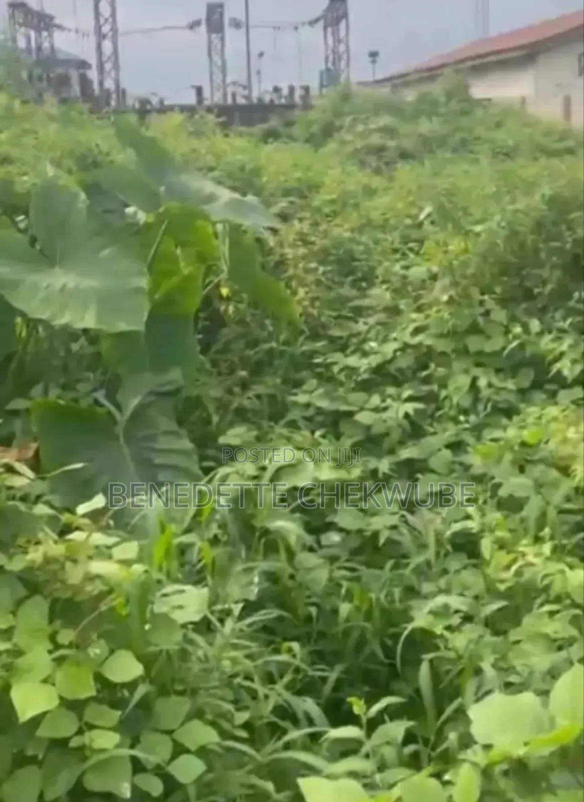 Land for Sale: in Port-Harcourt