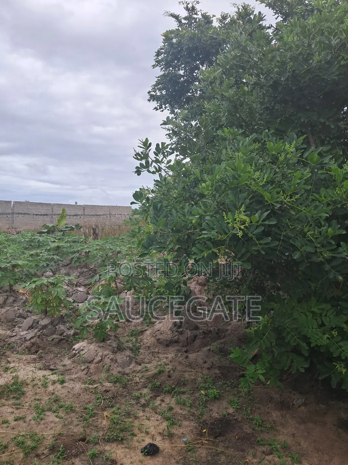 Land for Sale at Nasco Satellite Town Global C of O in Satellite Town
