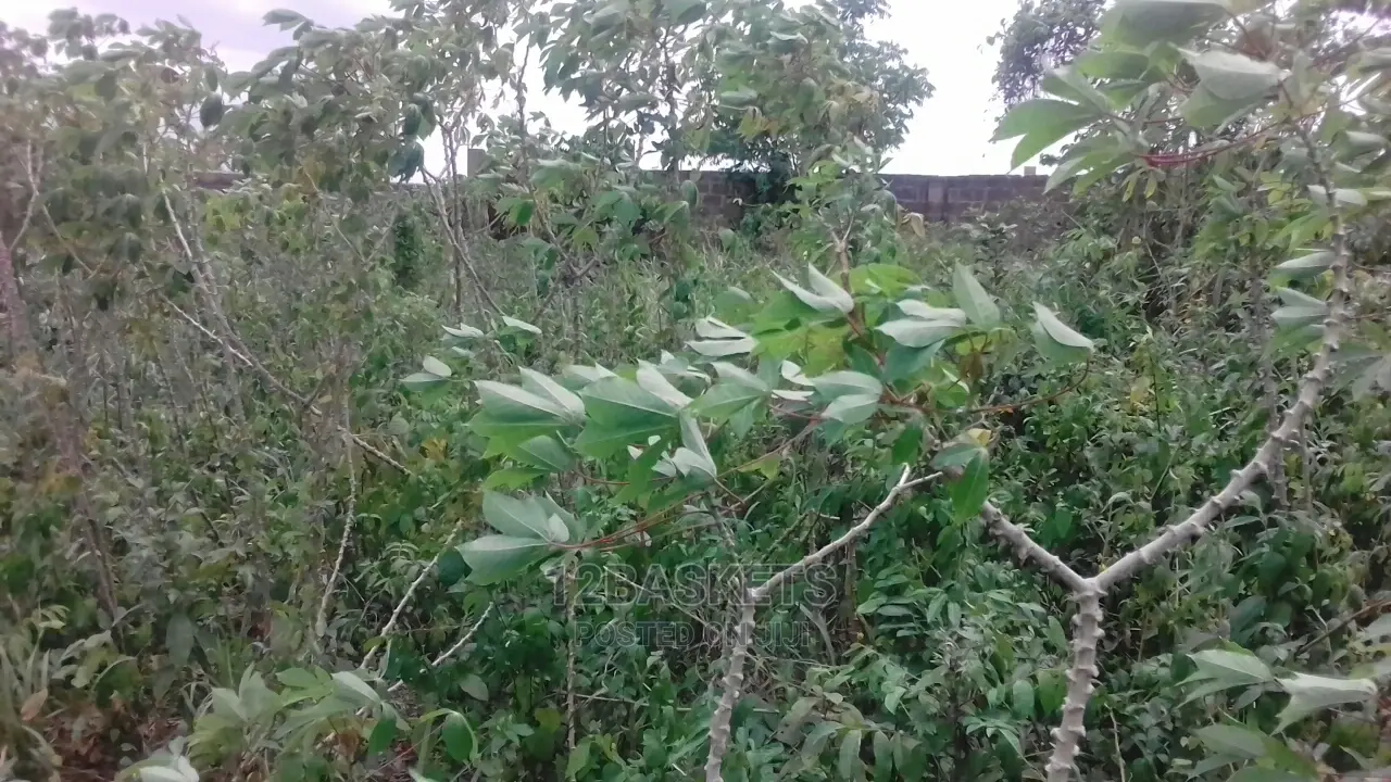 Half Plots of Land at Olowora, Ojodu Berger for Sale. in Ojodu